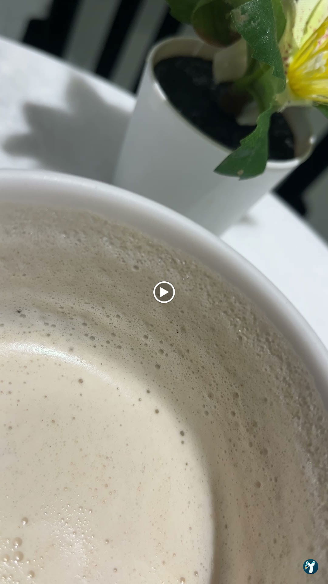 Bond Coffee Co. Fulya