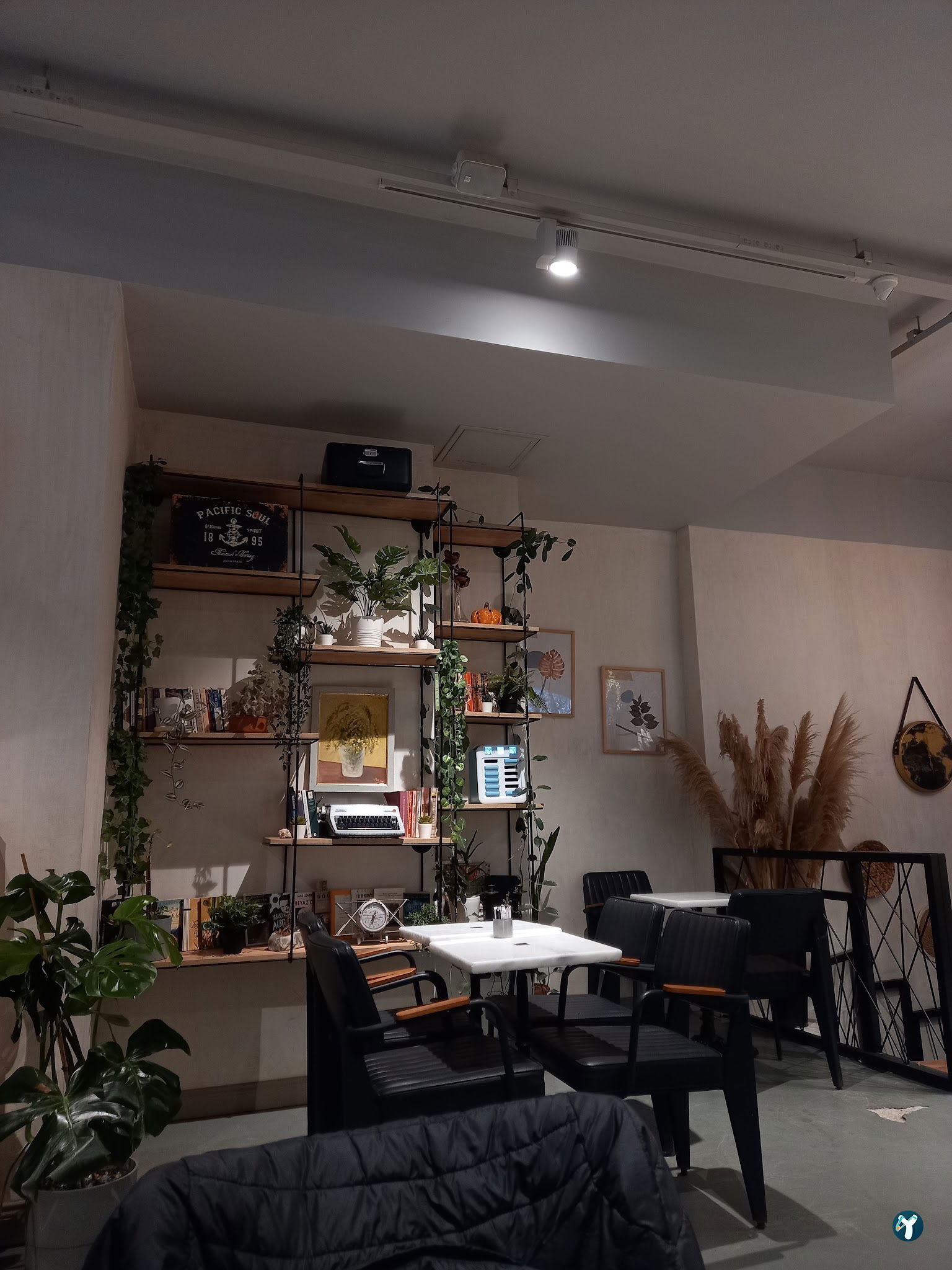 Bond Coffee Co. Fulya
