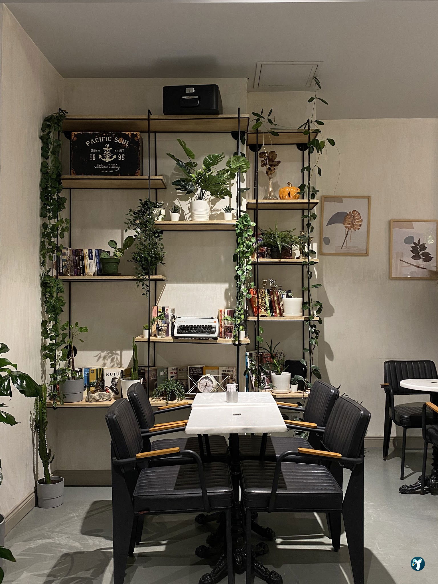Bond Coffee Co. Fulya