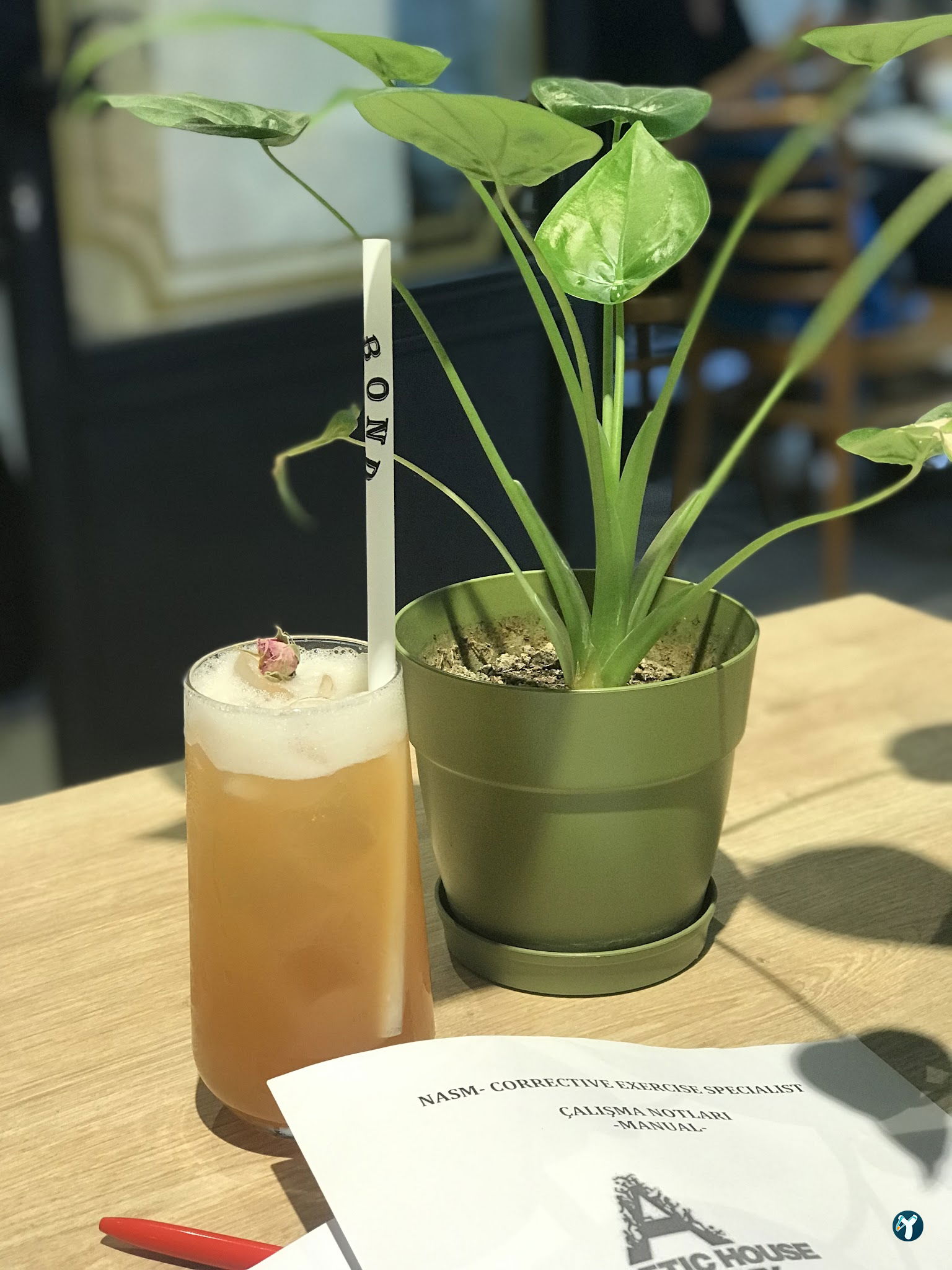 Bond Coffee Co. Fulya