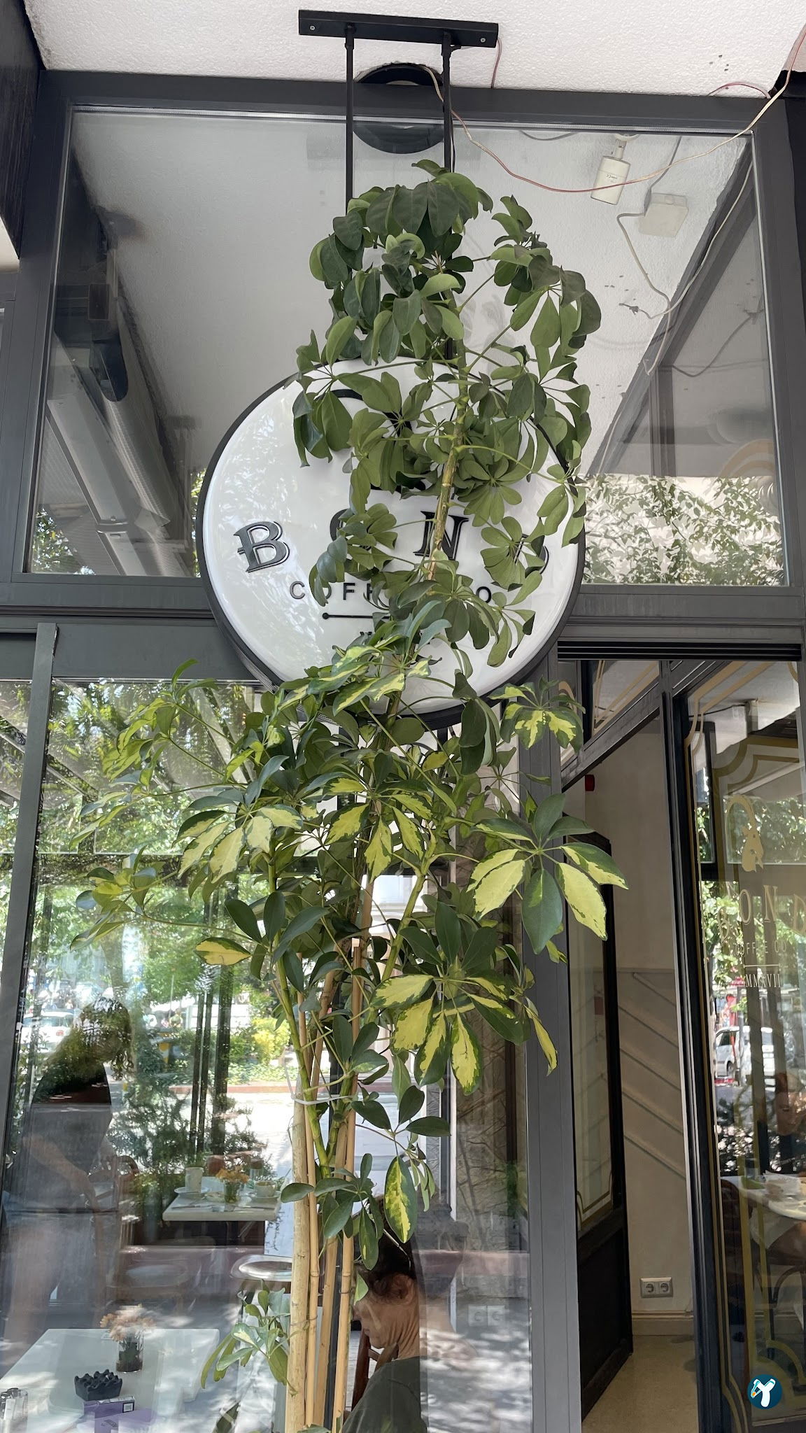 Bond Coffee Co. Fulya