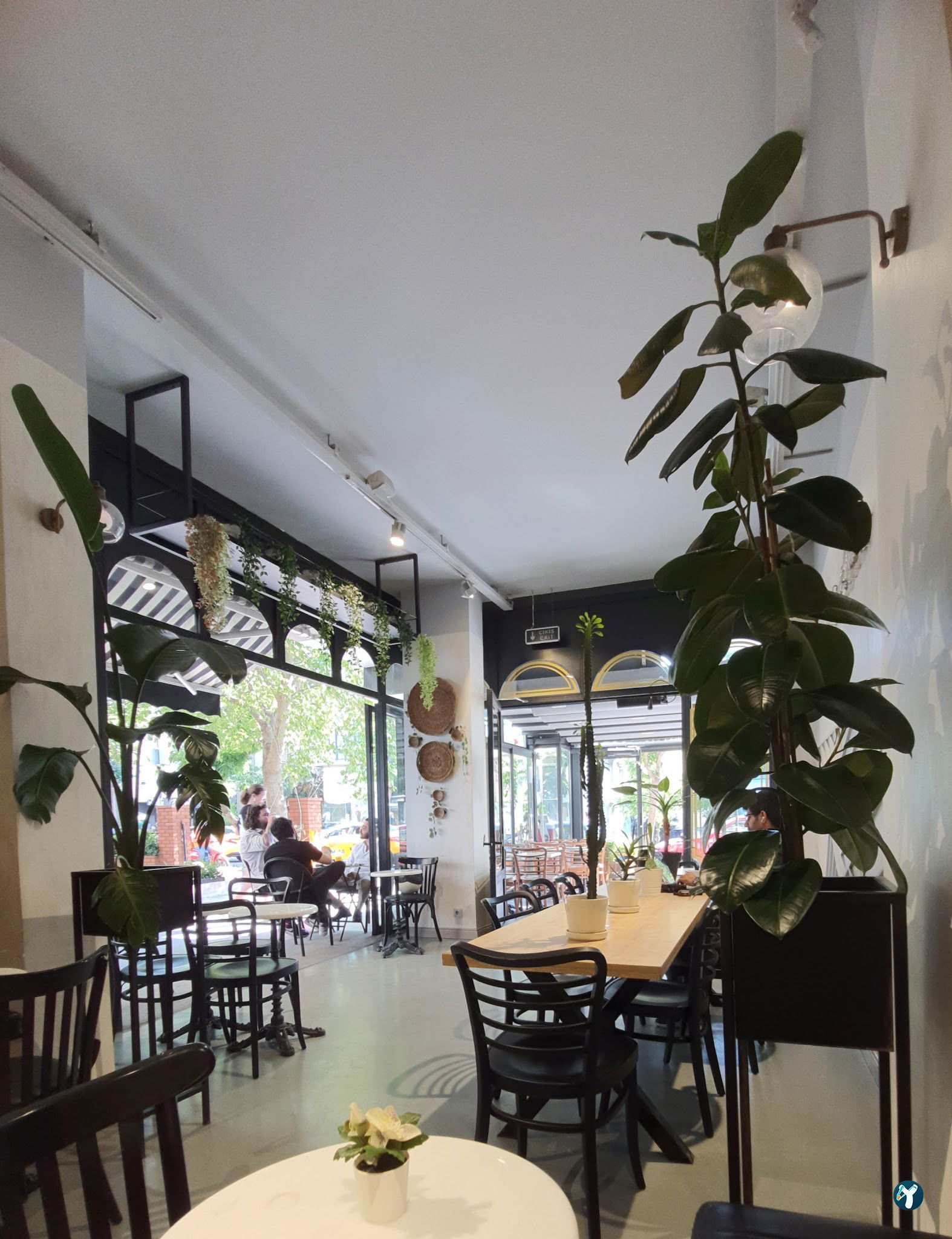 Bond Coffee Co. Fulya
