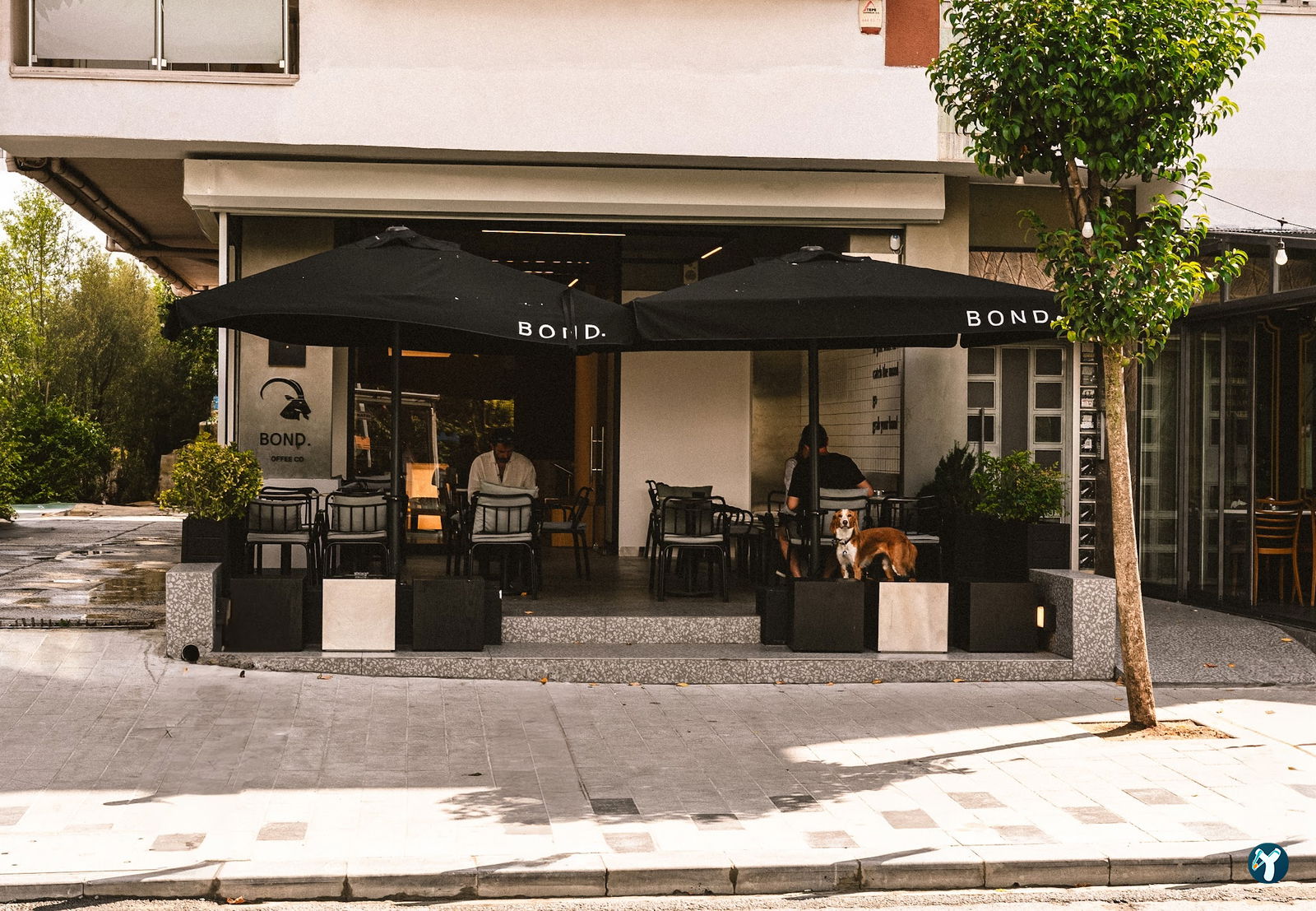 Bond Coffee Co. Fulya
