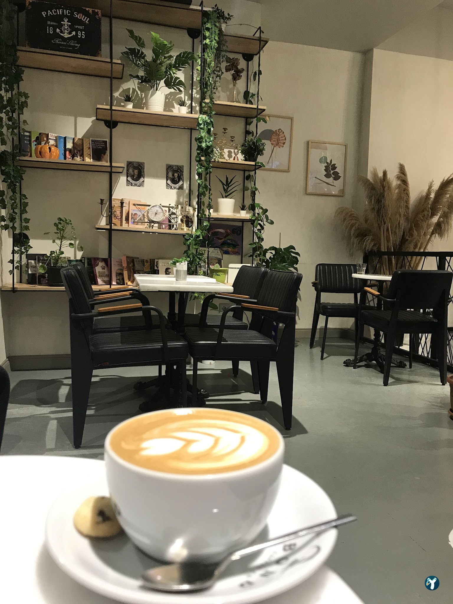 Bond Coffee Co. Fulya