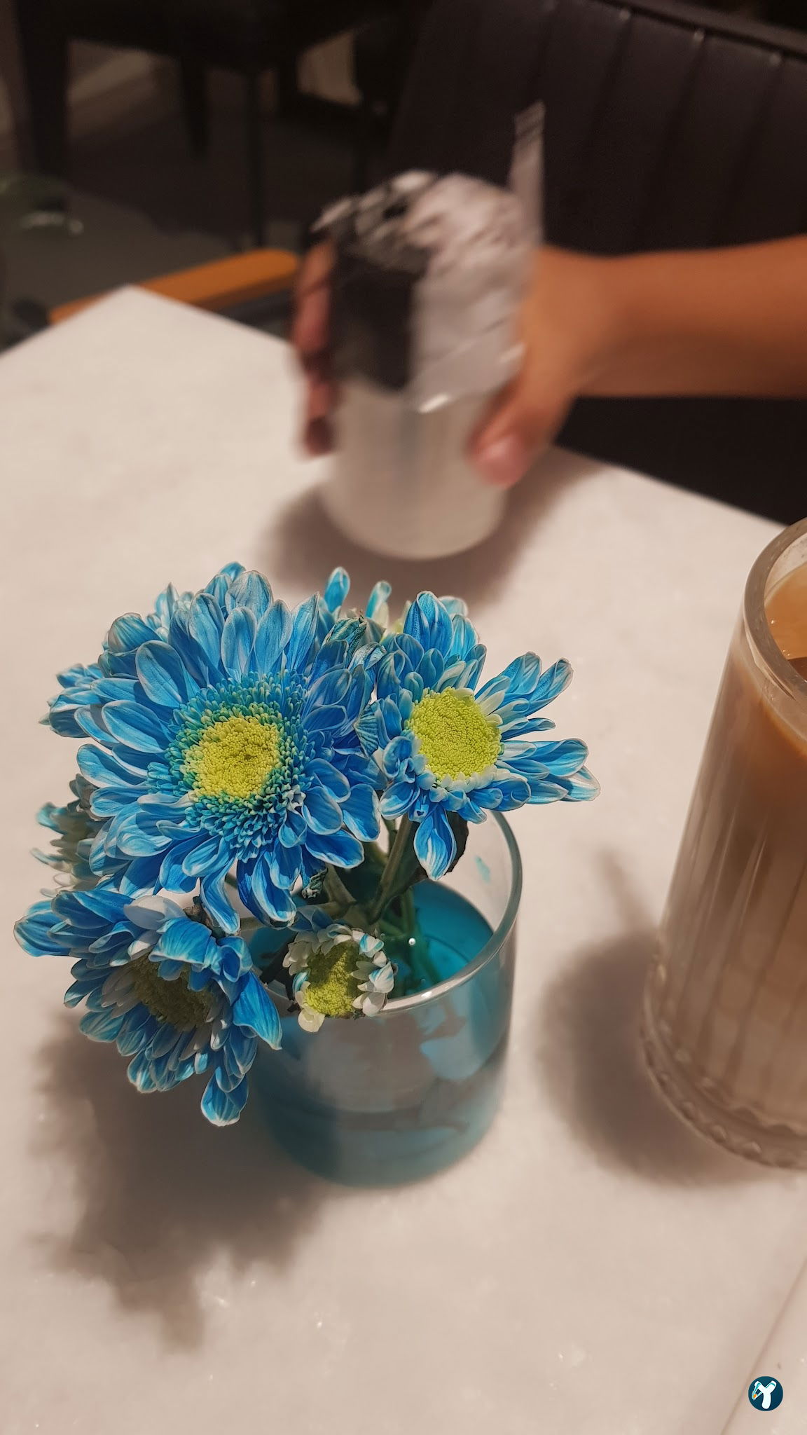 Bond Coffee Co. Fulya