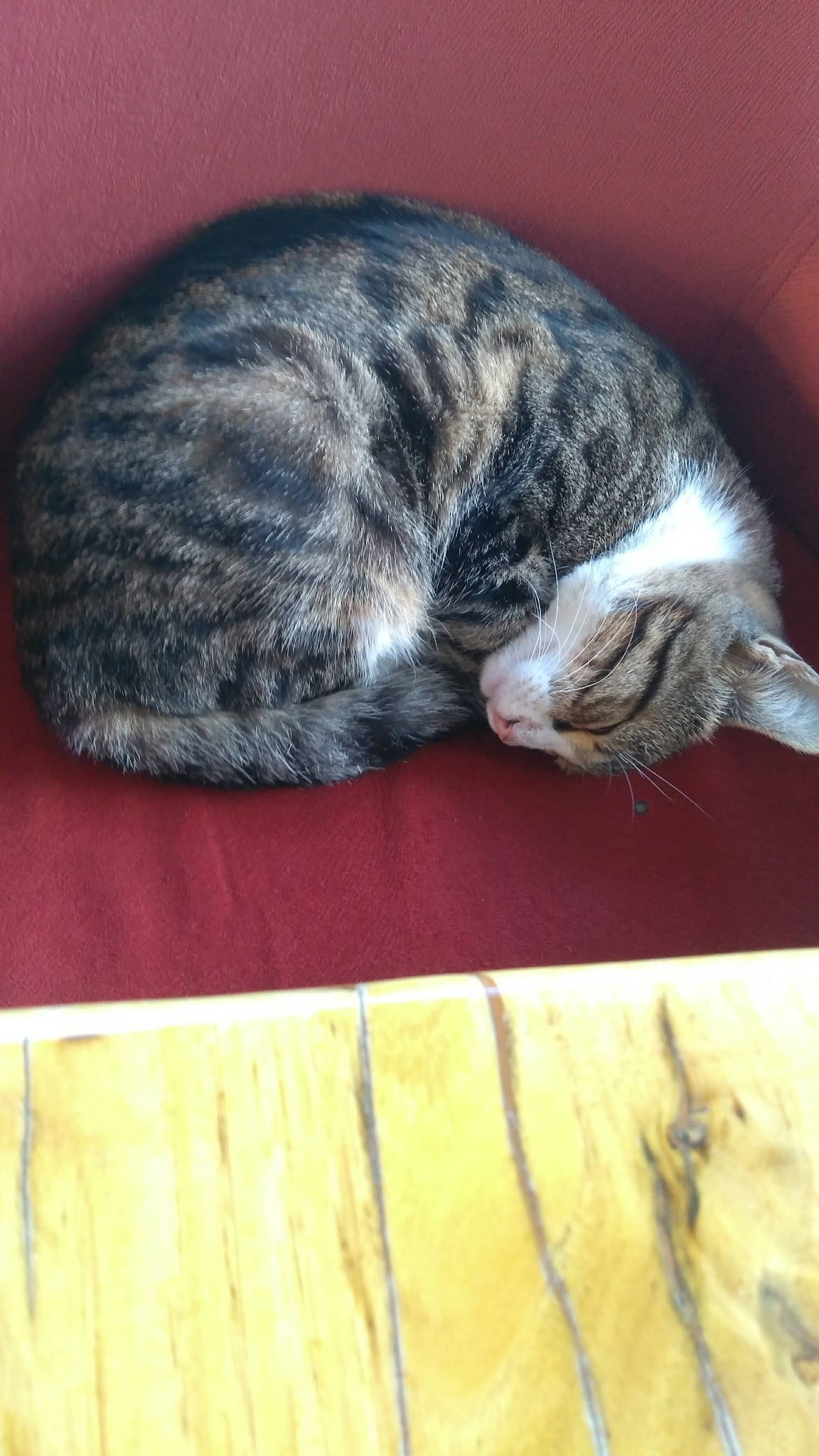 Ziyade Et Lokantası