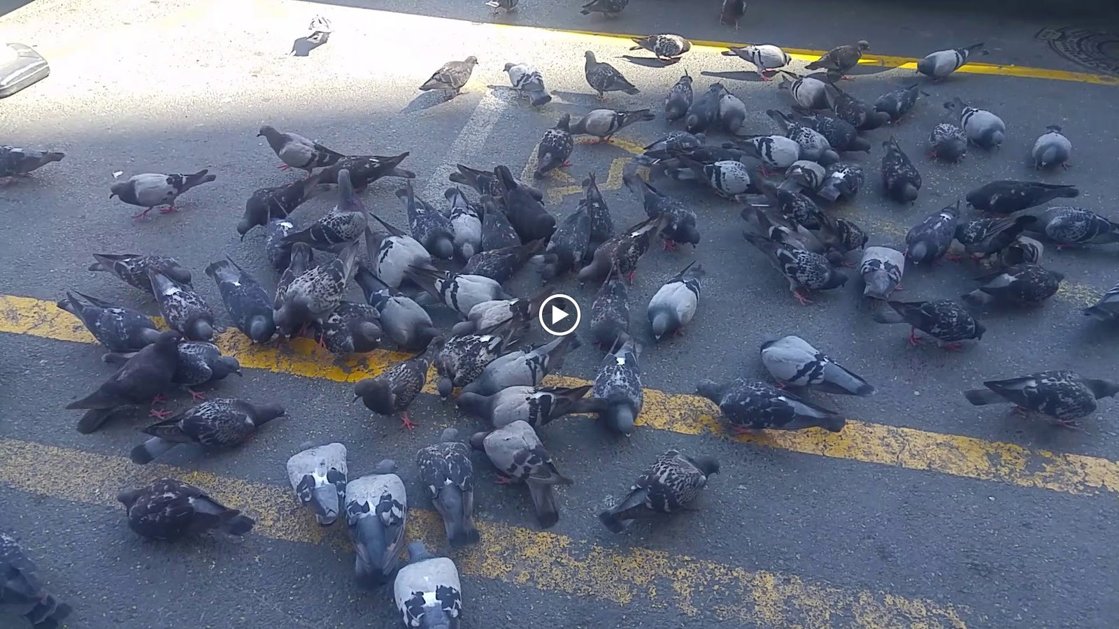 Ziyade Et Lokantası