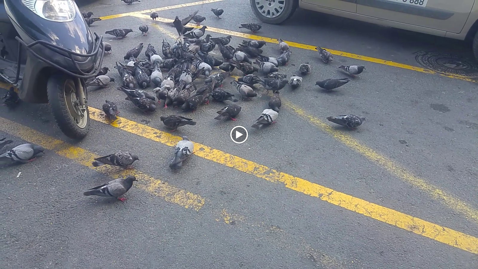 Ziyade Et Lokantası