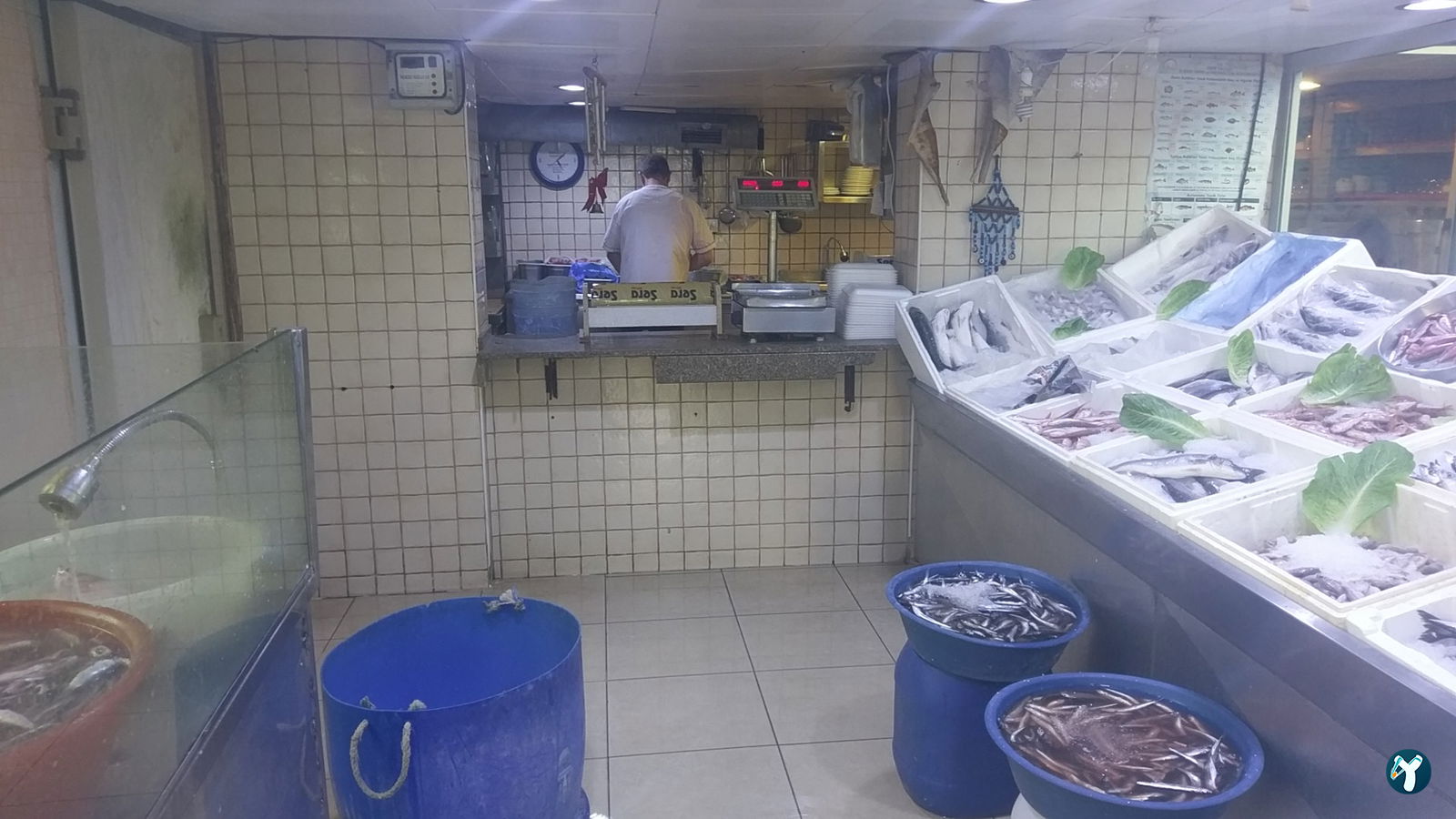 Bornova Balıkçısı Arif