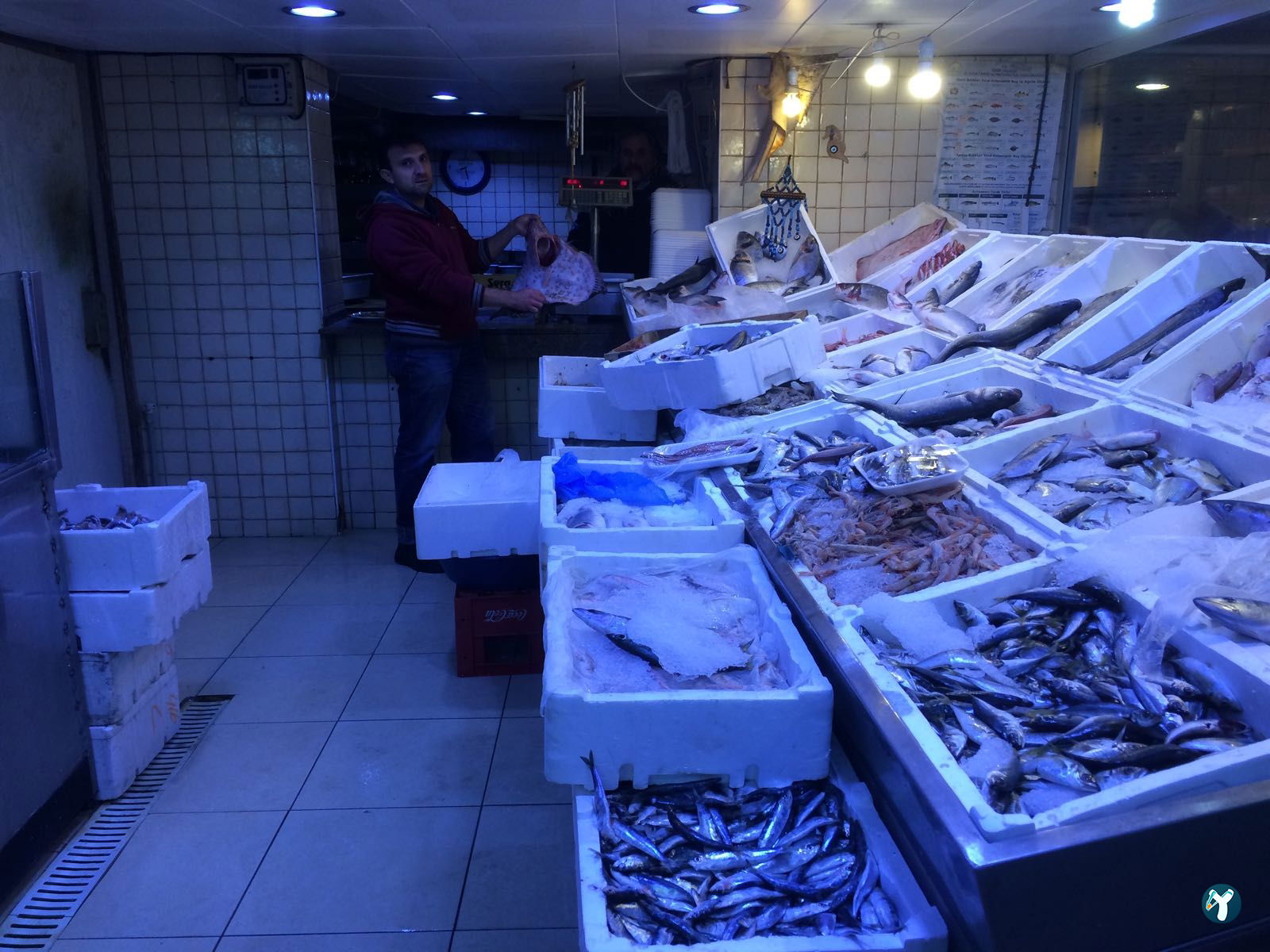 Bornova Balıkçısı Arif