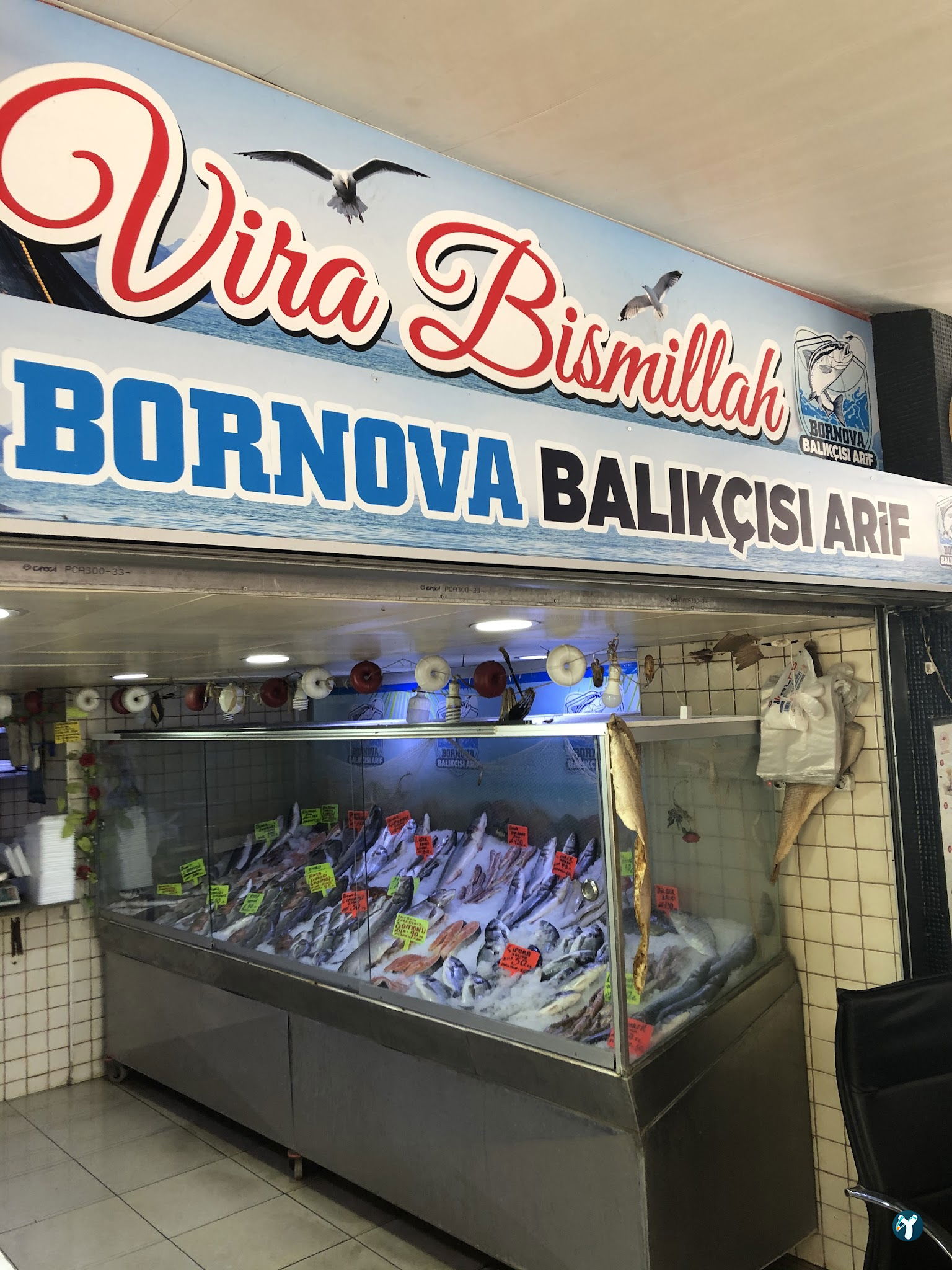 Bornova Balıkçısı Arif