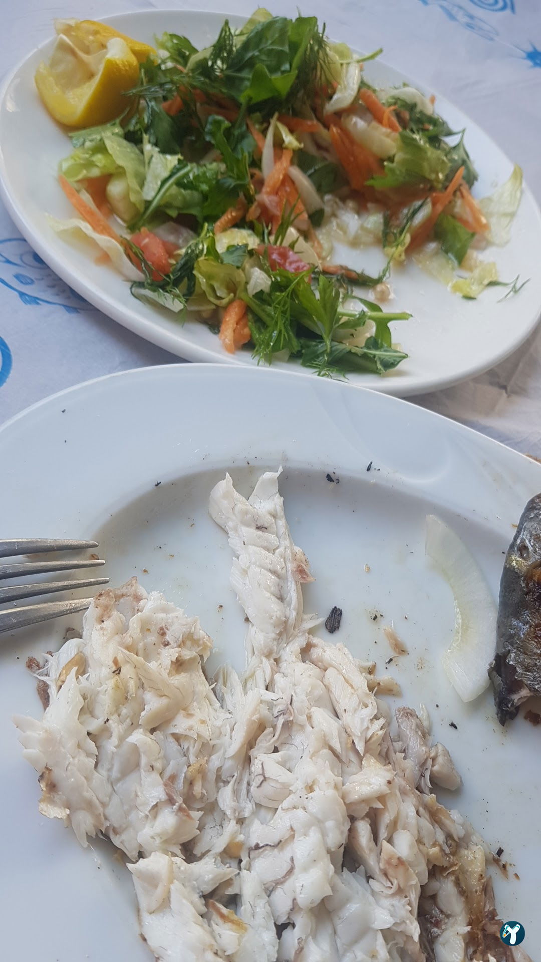 Bornova Balıkçısı Arif