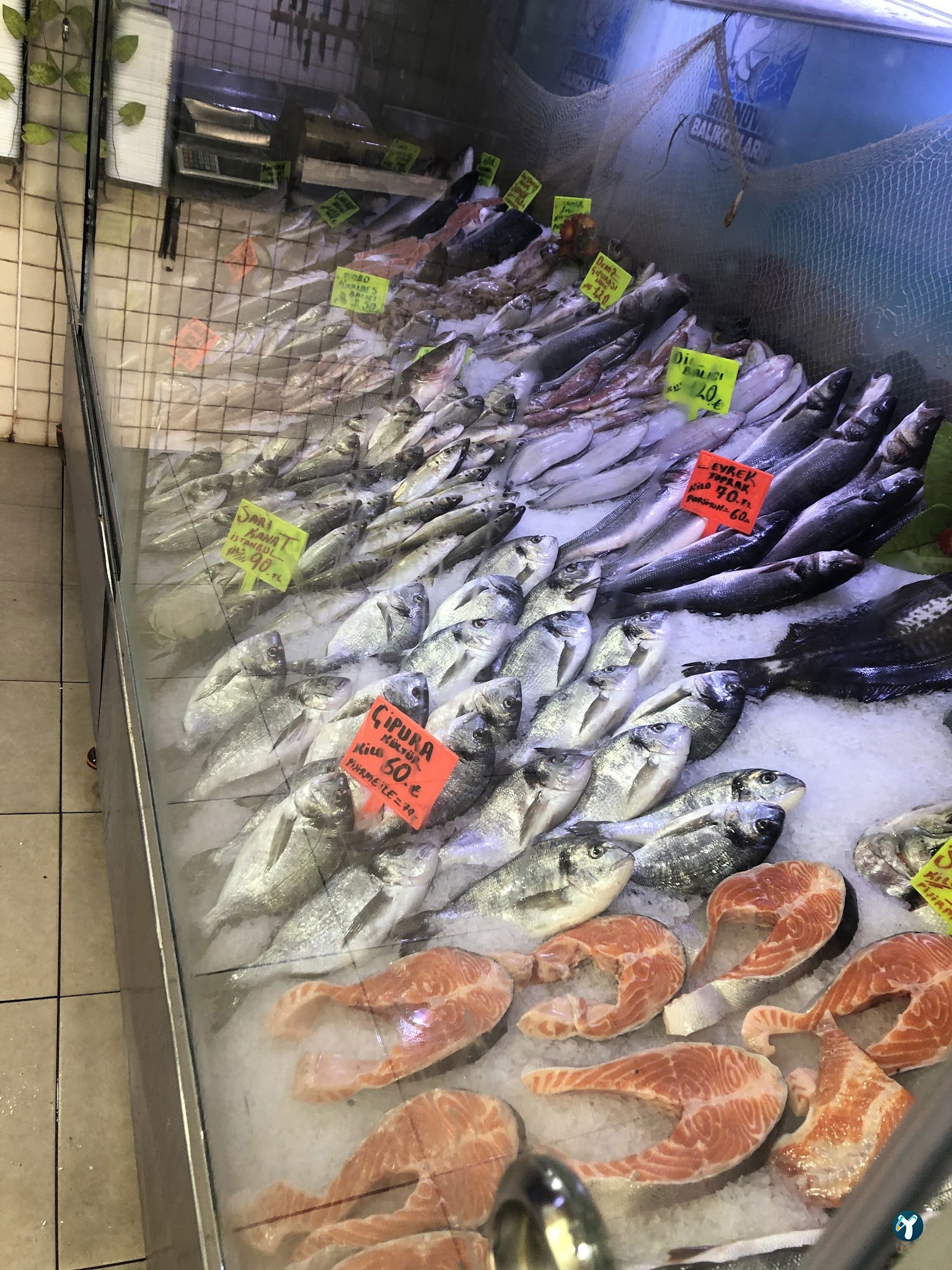 Bornova Balıkçısı Arif