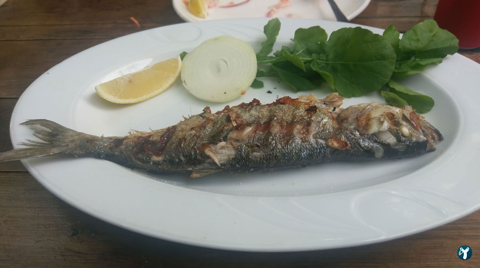Bornova Balıkçısı Arif
