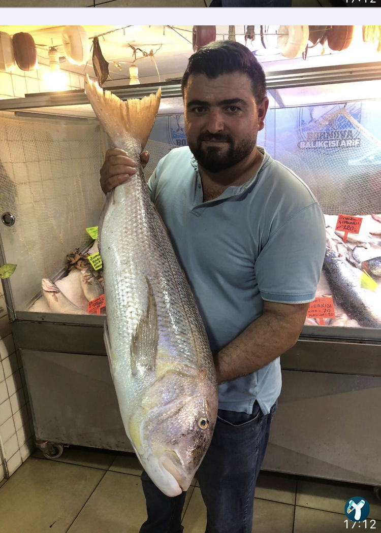 Bornova Balıkçısı Arif