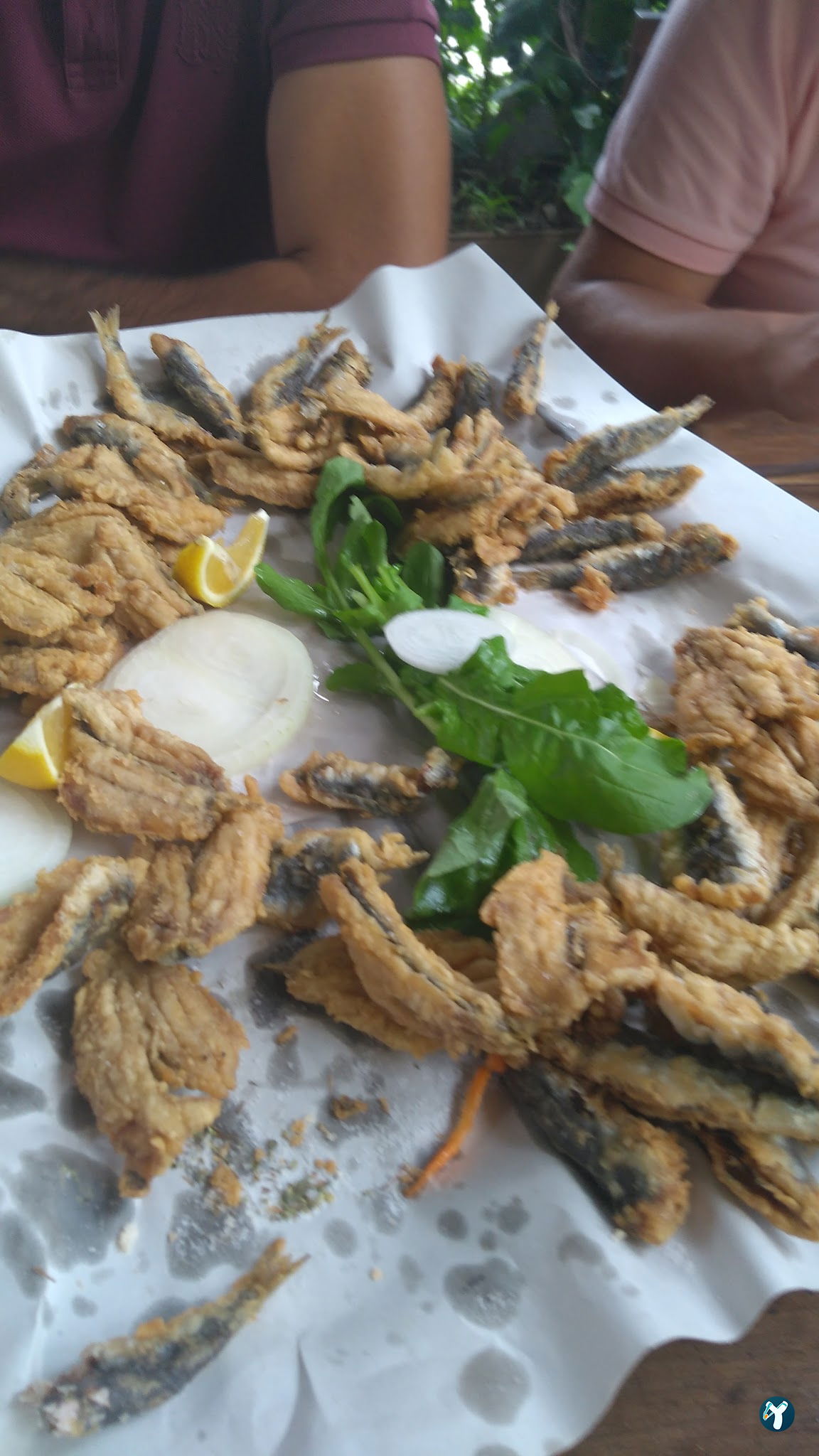 Bornova Balıkçısı Arif
