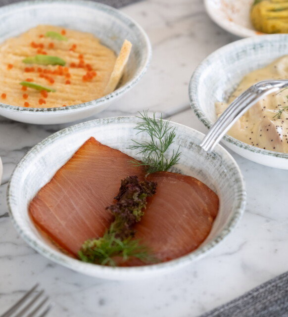 Barboon by Atlas Balık