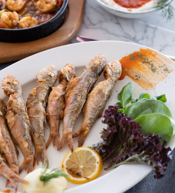 Barboon by Atlas Balık