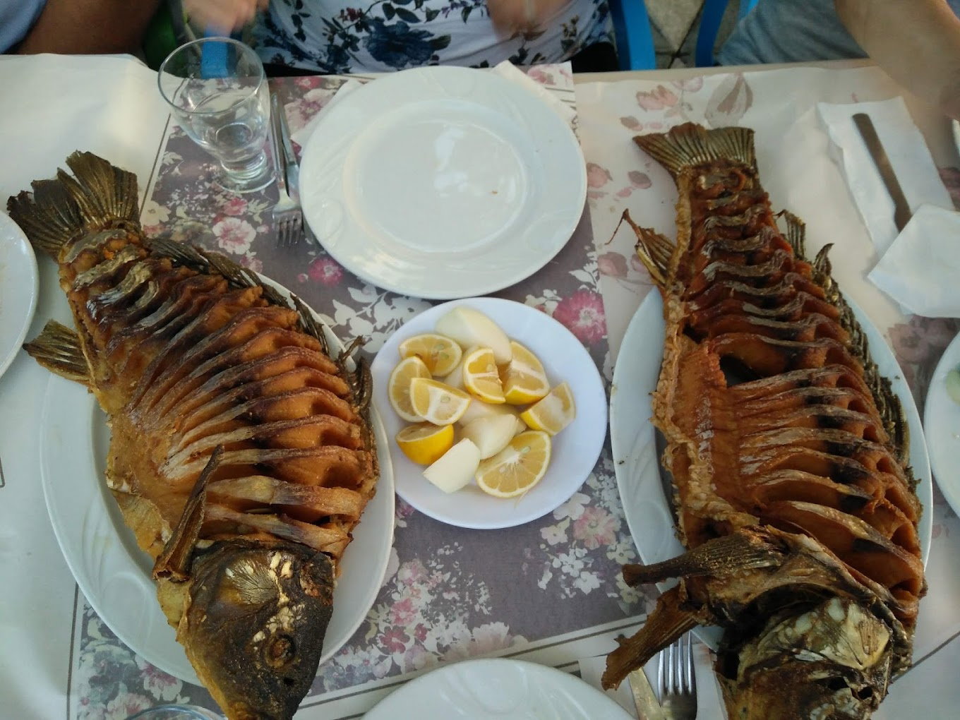Akpınar Restaurant Canlı Sazan