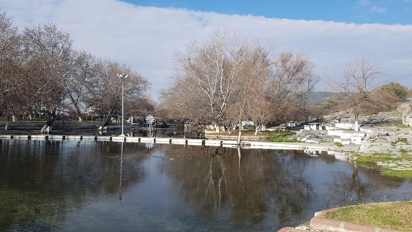 Akpınar Restaurant Canlı Sazan