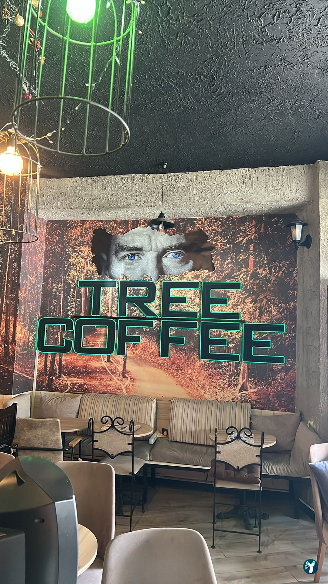Tree Coffee