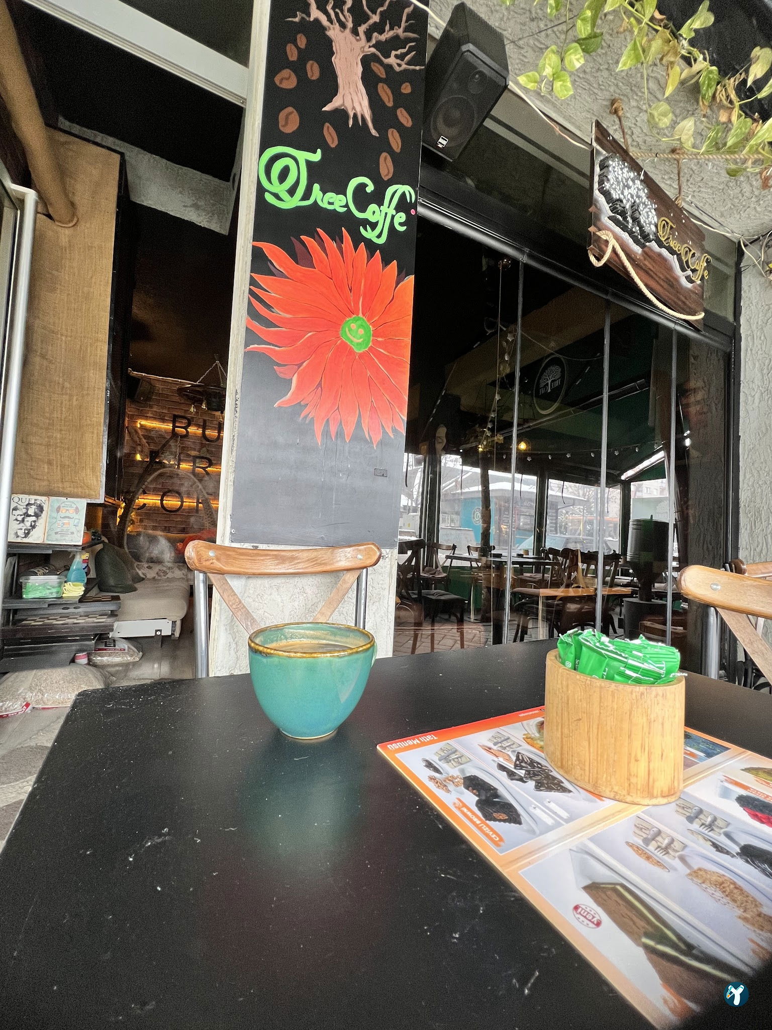 Tree Coffee