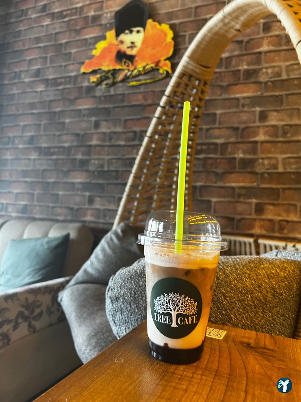 Tree Coffee