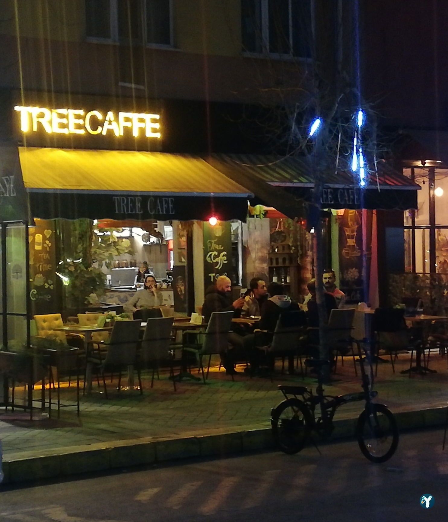 Tree Coffee