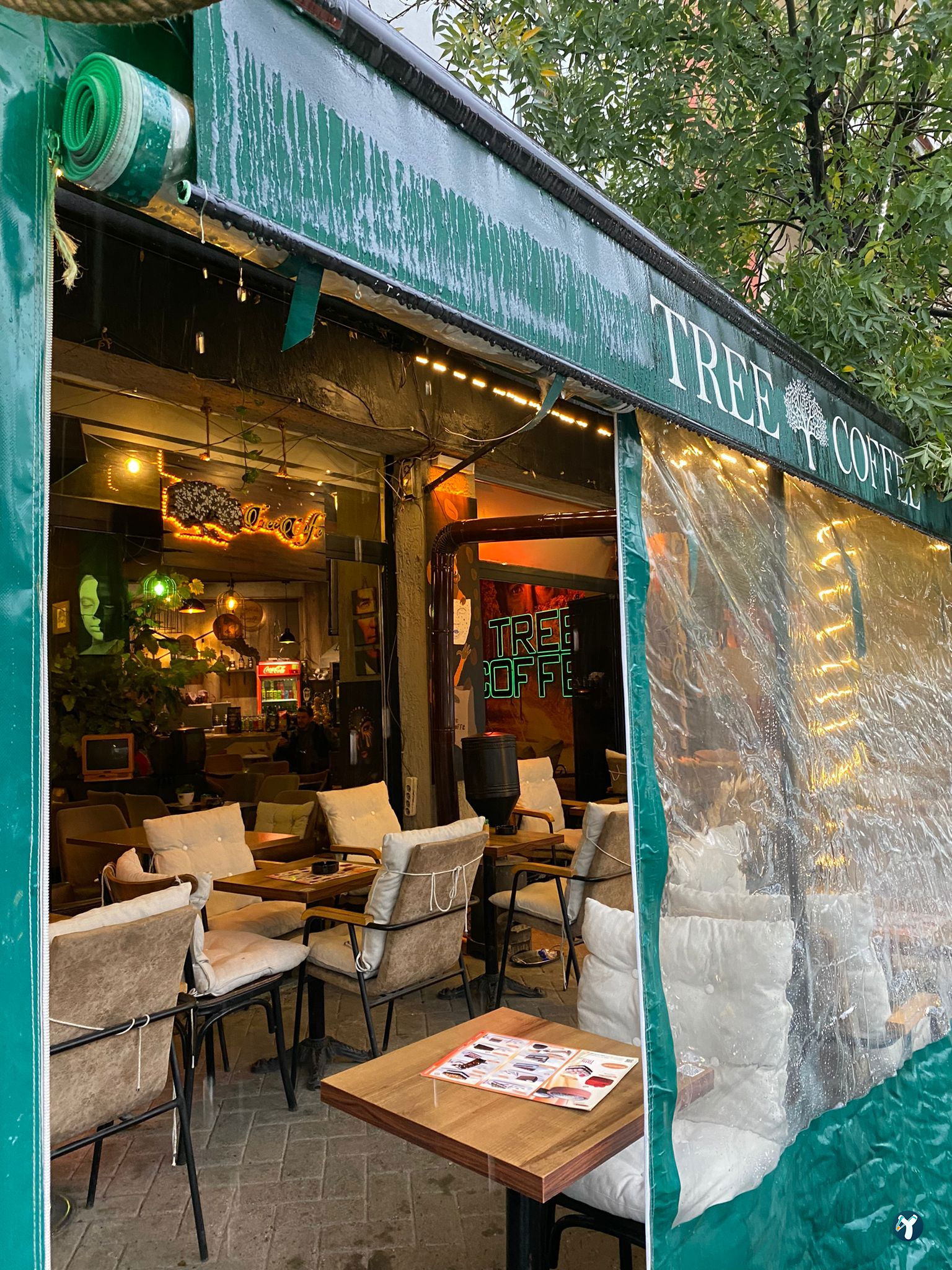 Tree Coffee