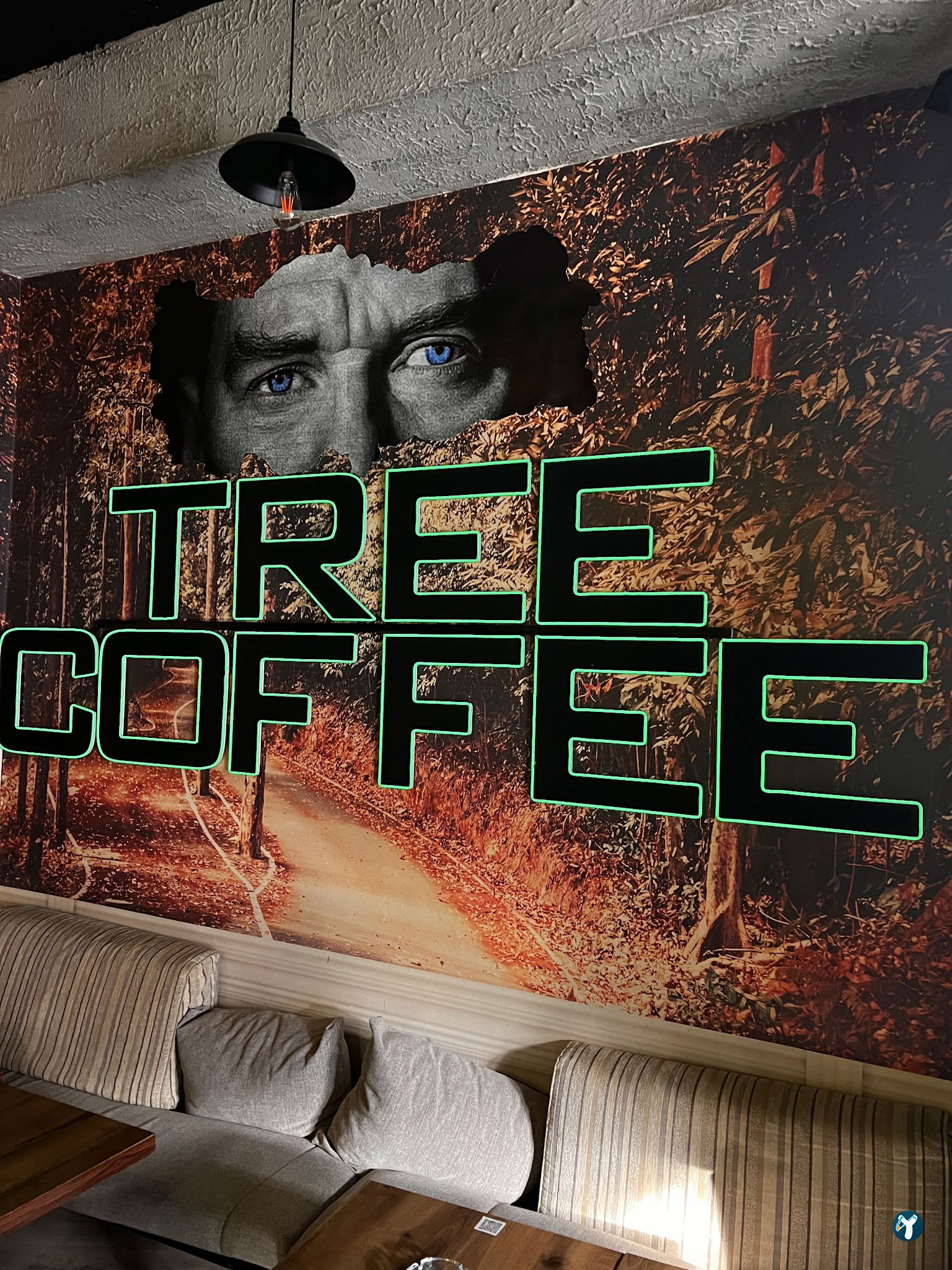 Tree Coffee