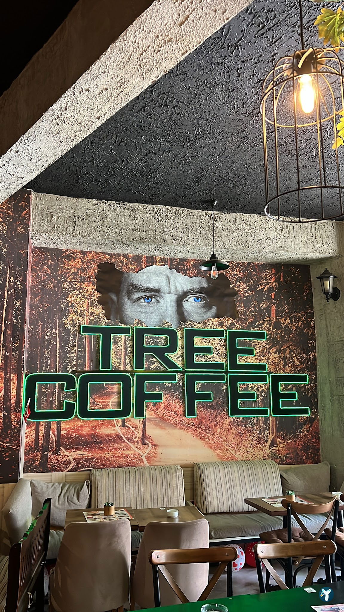 Tree Coffee
