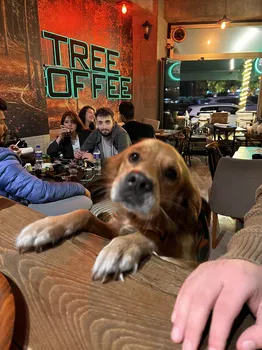 Tree Coffee resimleri Tree Coffee resimleri