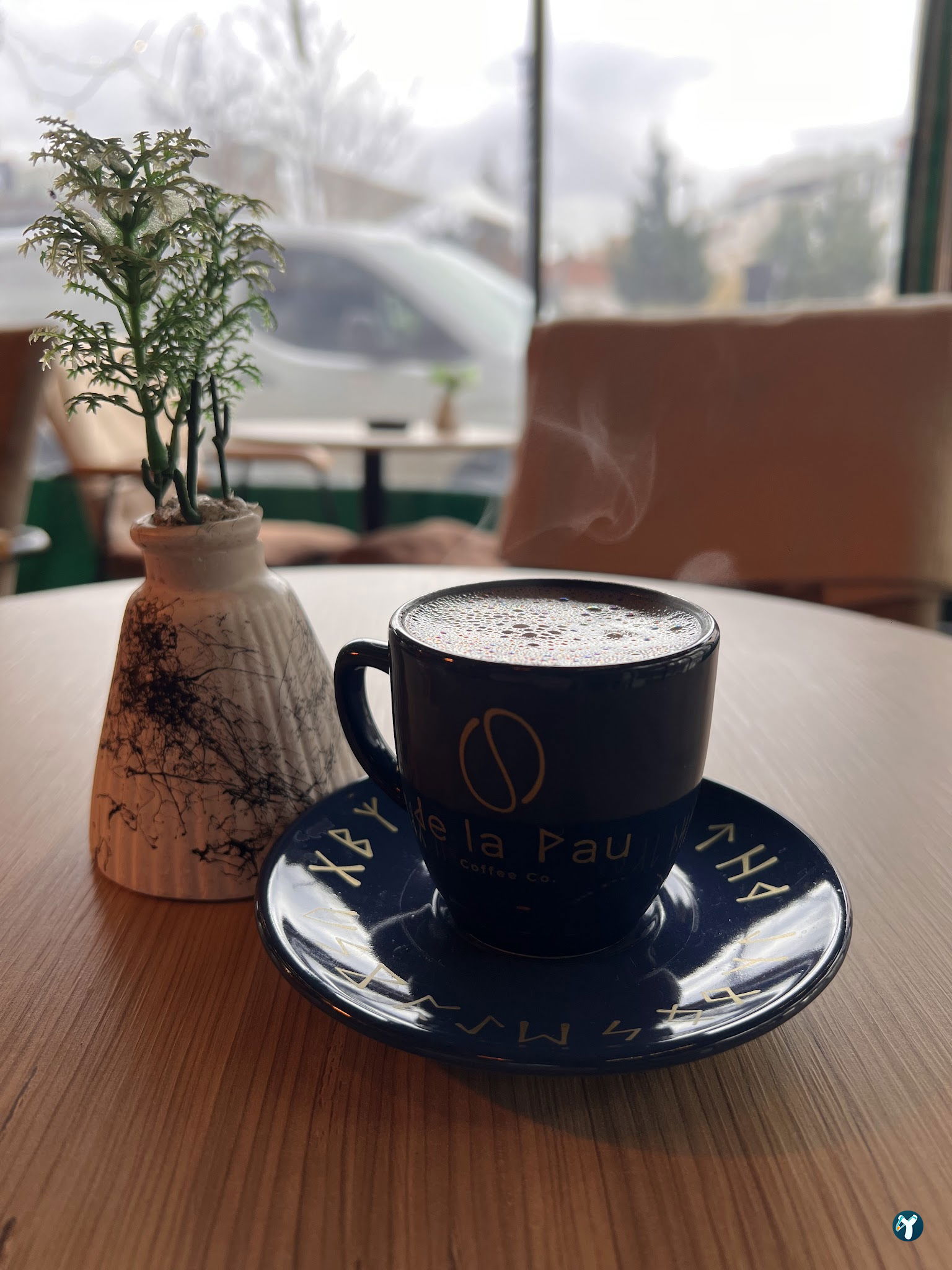 Tree Coffee