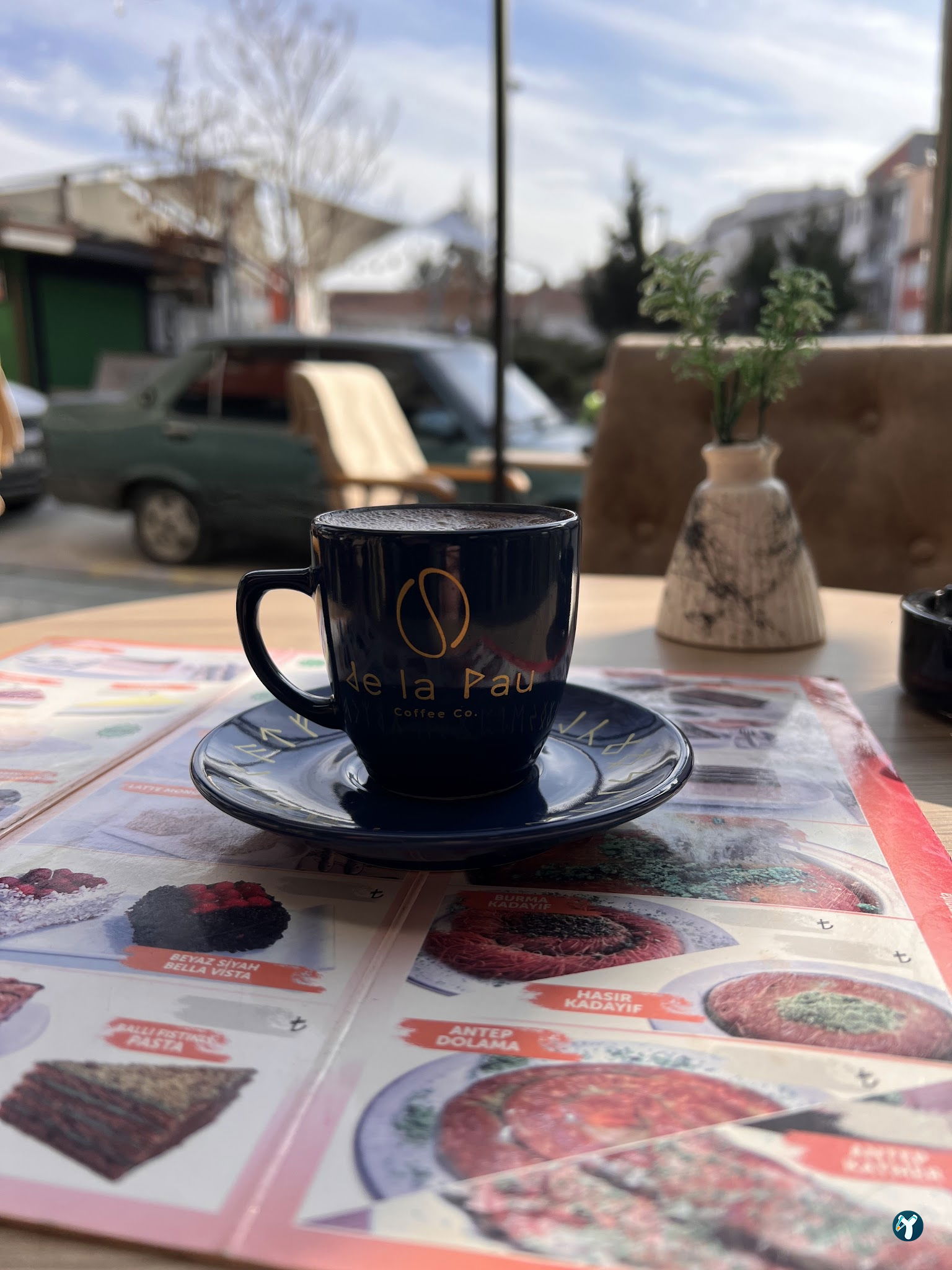 Tree Coffee
