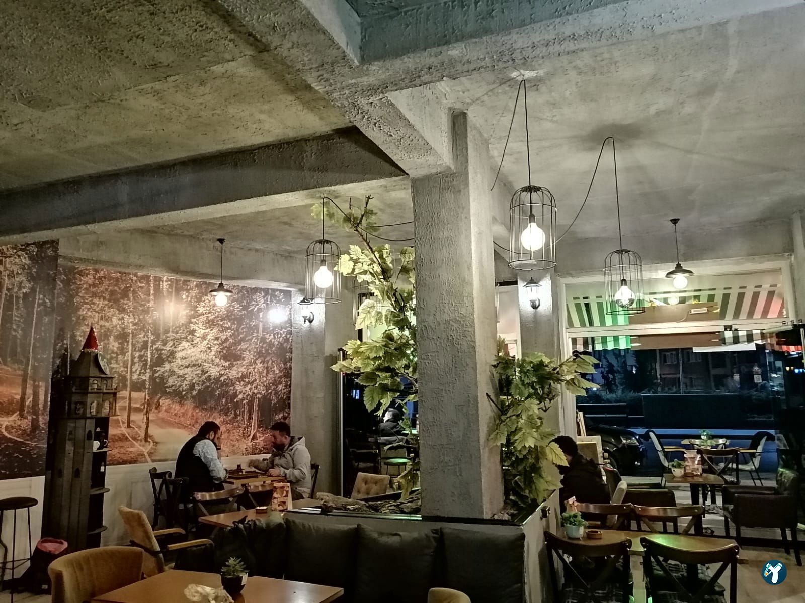 Tree Coffee