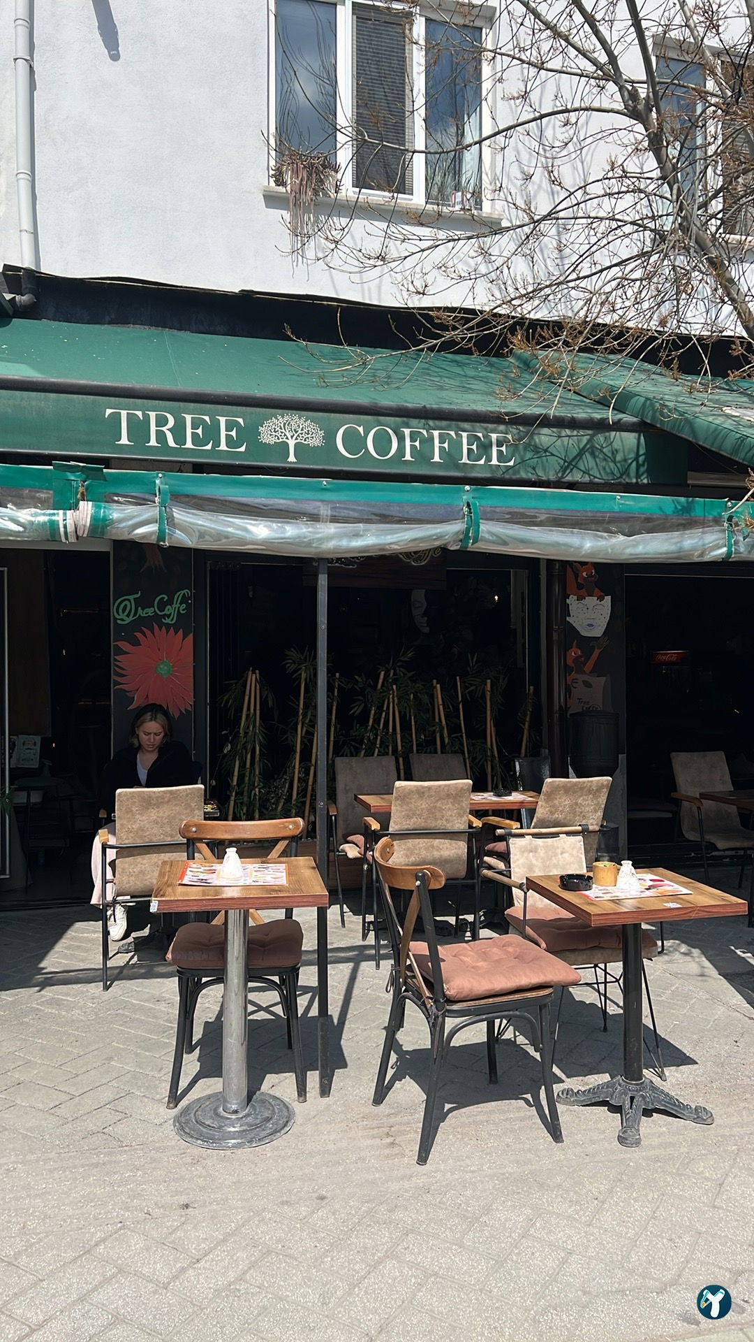 Tree Coffee