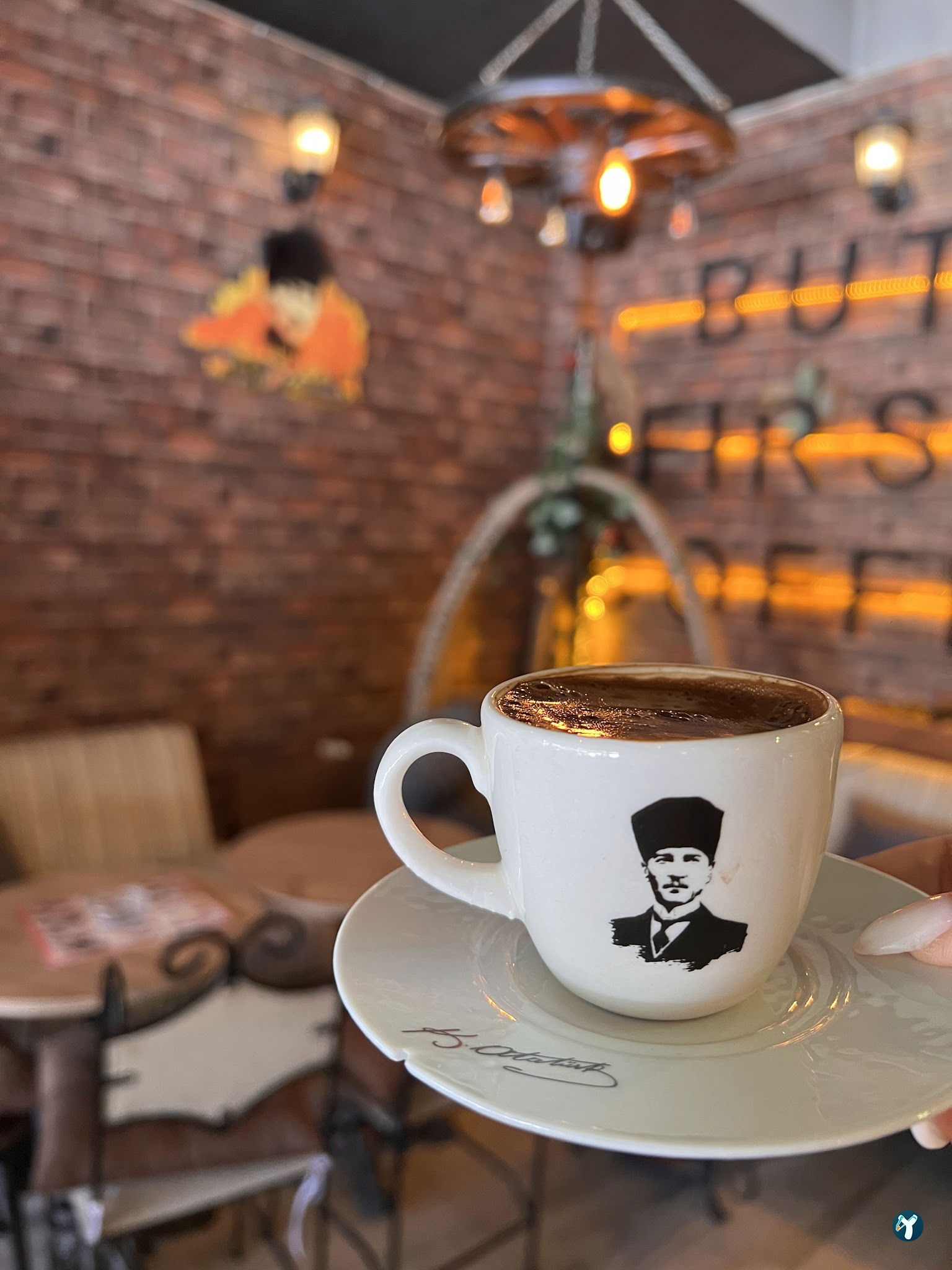 Tree Coffee