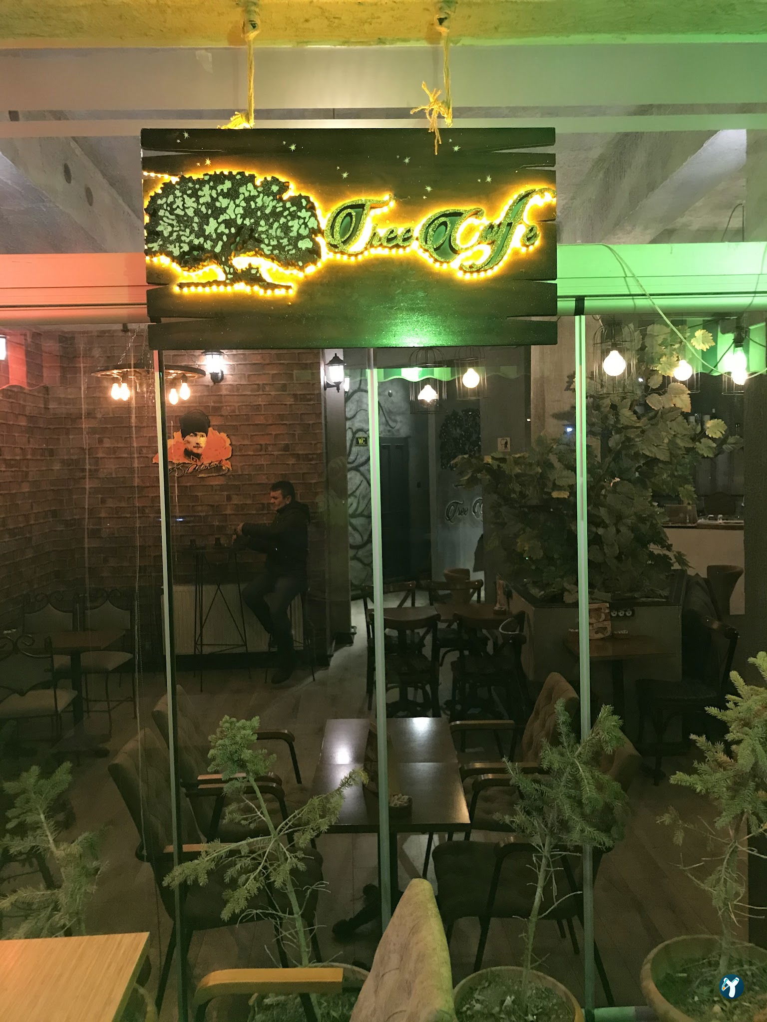 Tree Coffee