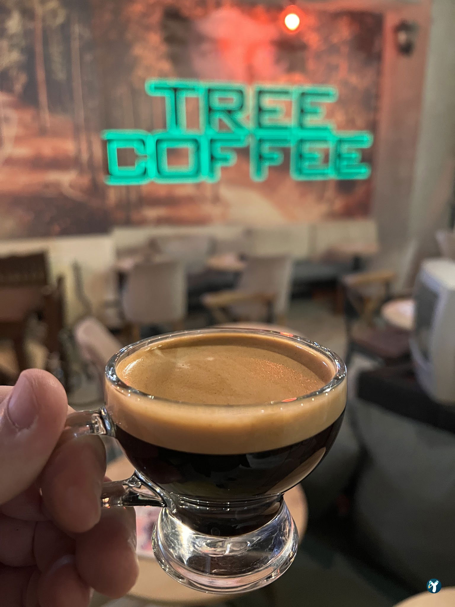 Tree Coffee