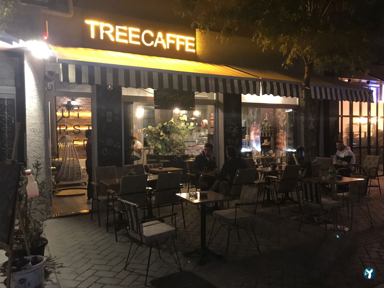 Tree Coffee