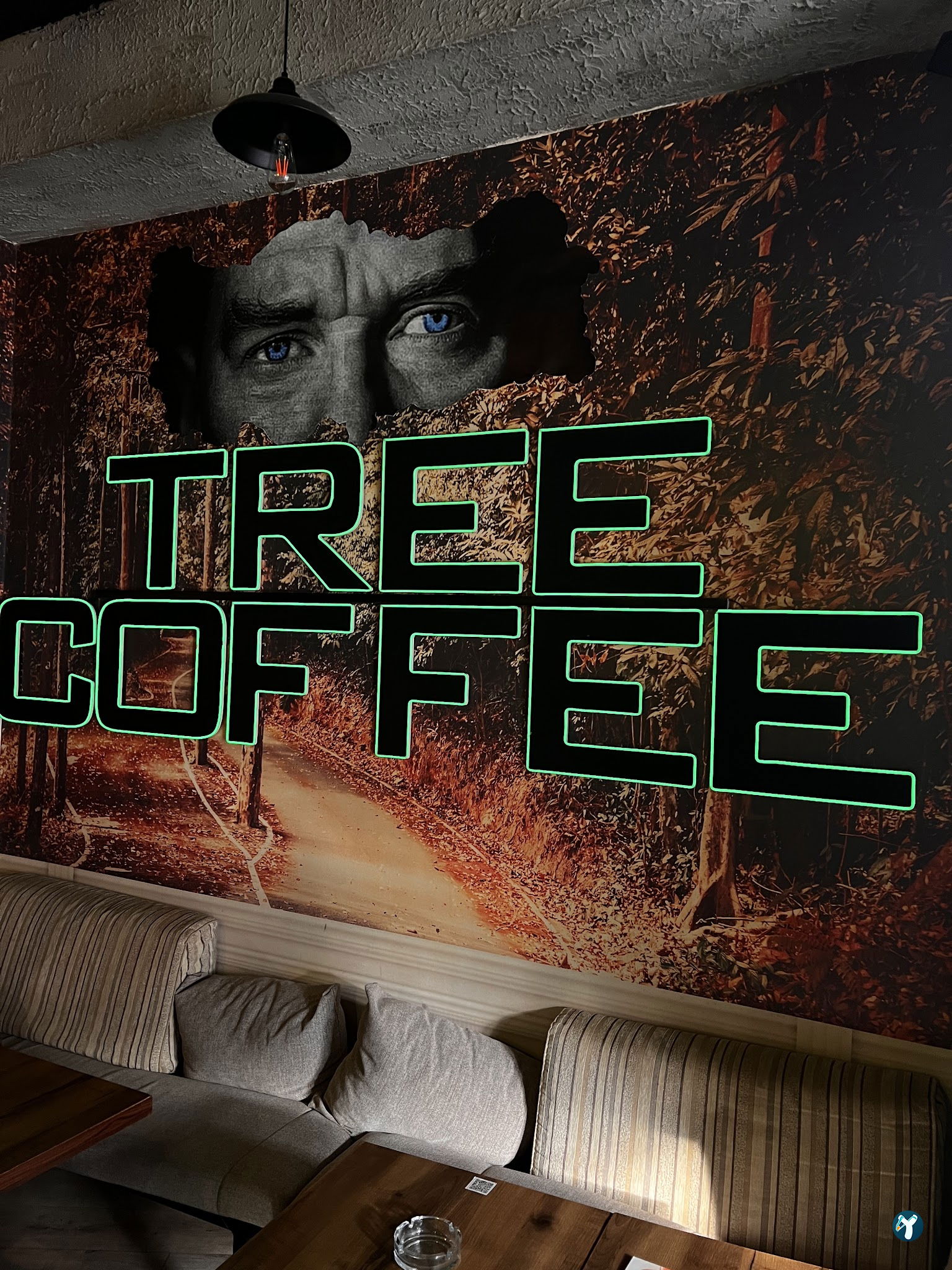 Tree Coffee