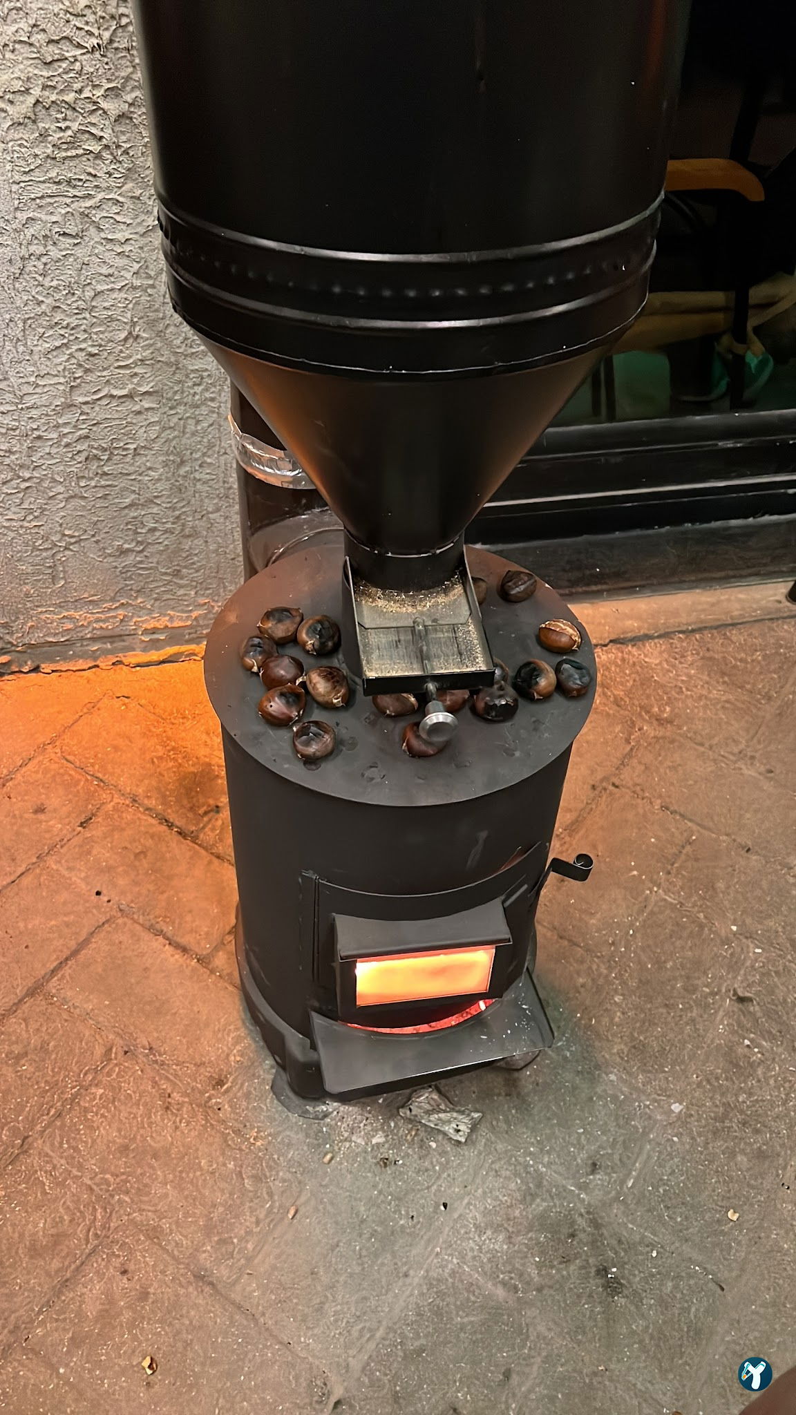 Tree Coffee
