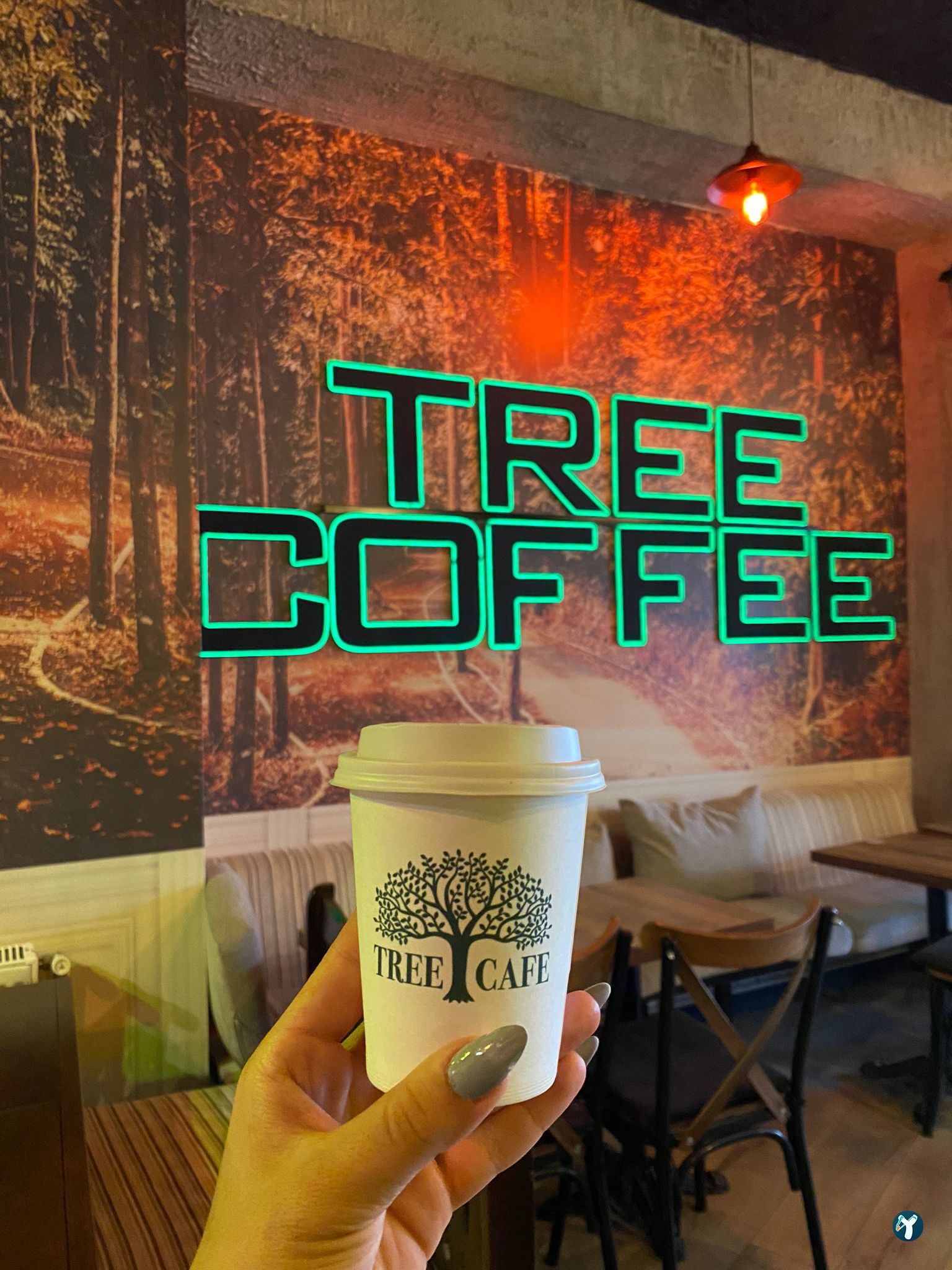 Tree Coffee