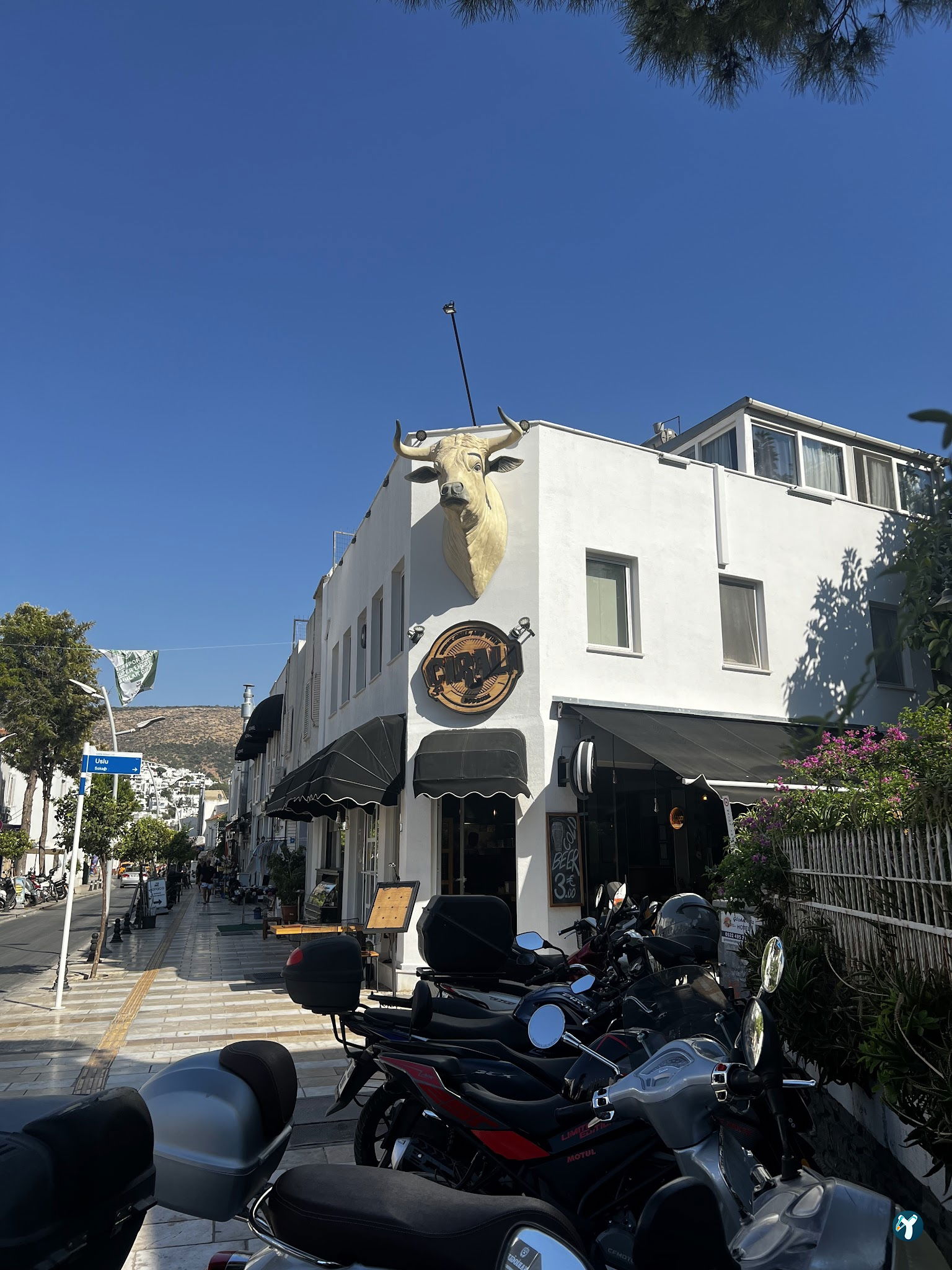 Çıralı Bodrum