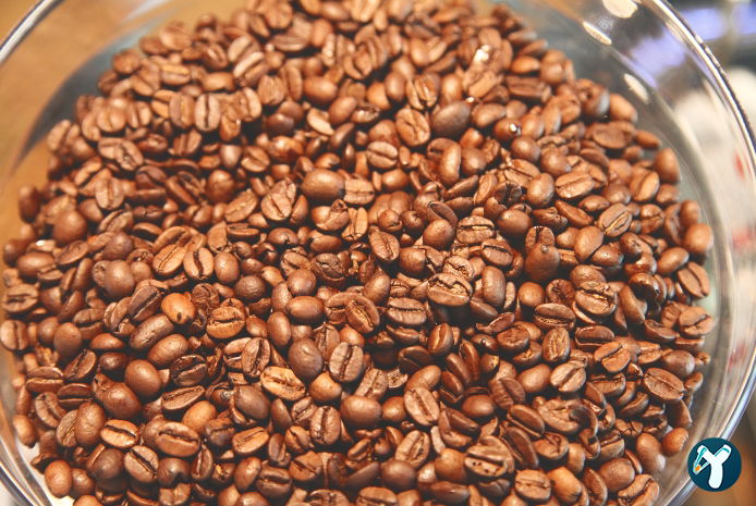 Starbucks Wps Dünyagöz Altuni̇zade