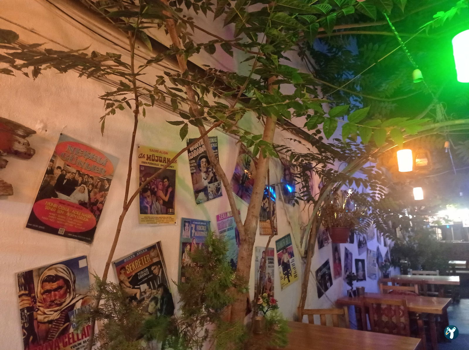 Yeşilçam Turquoise Garden