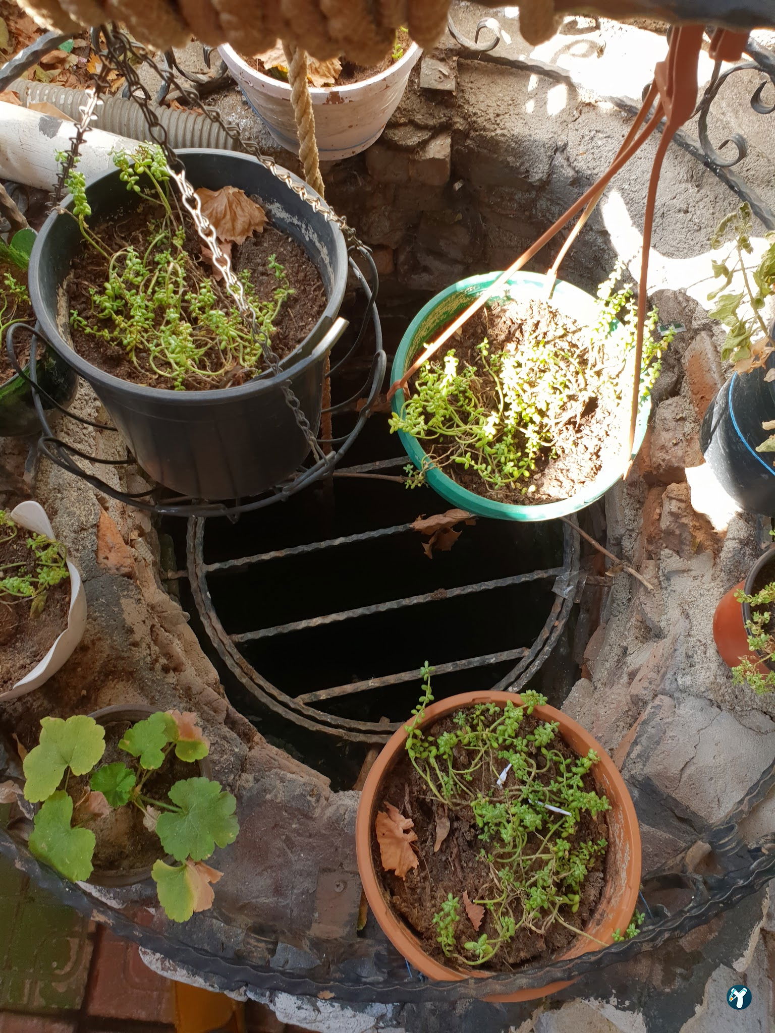 Yeşilçam Turquoise Garden