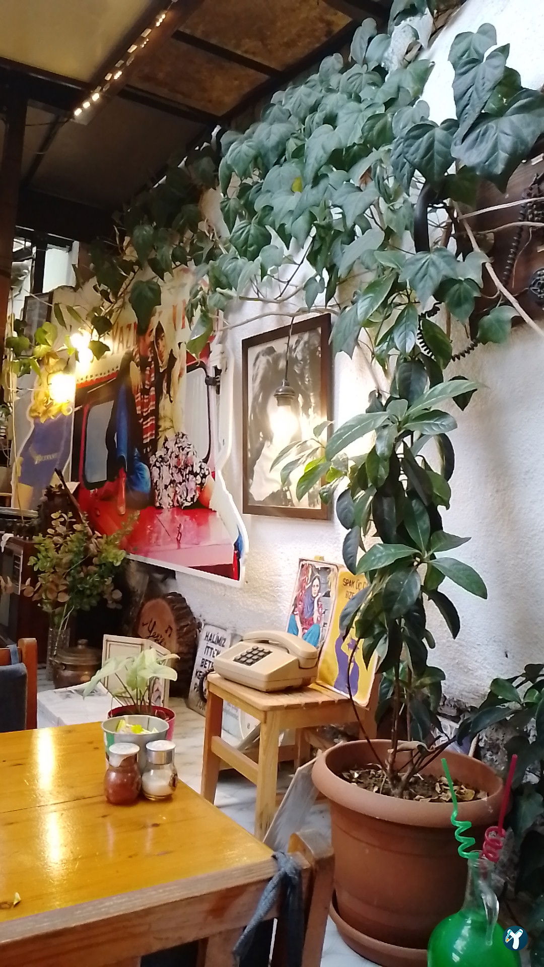Yeşilçam Turquoise Garden
