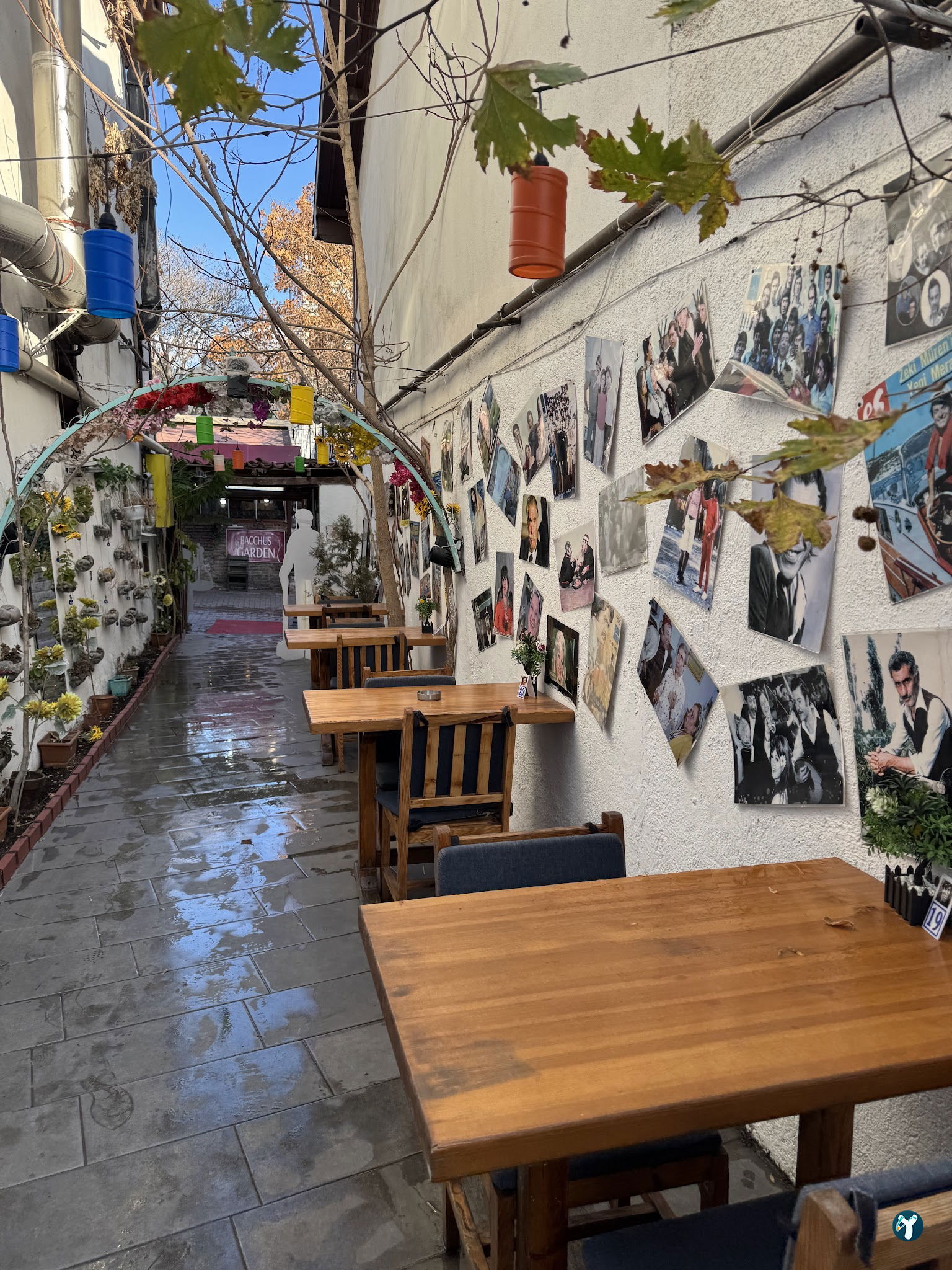 Yeşilçam Turquoise Garden