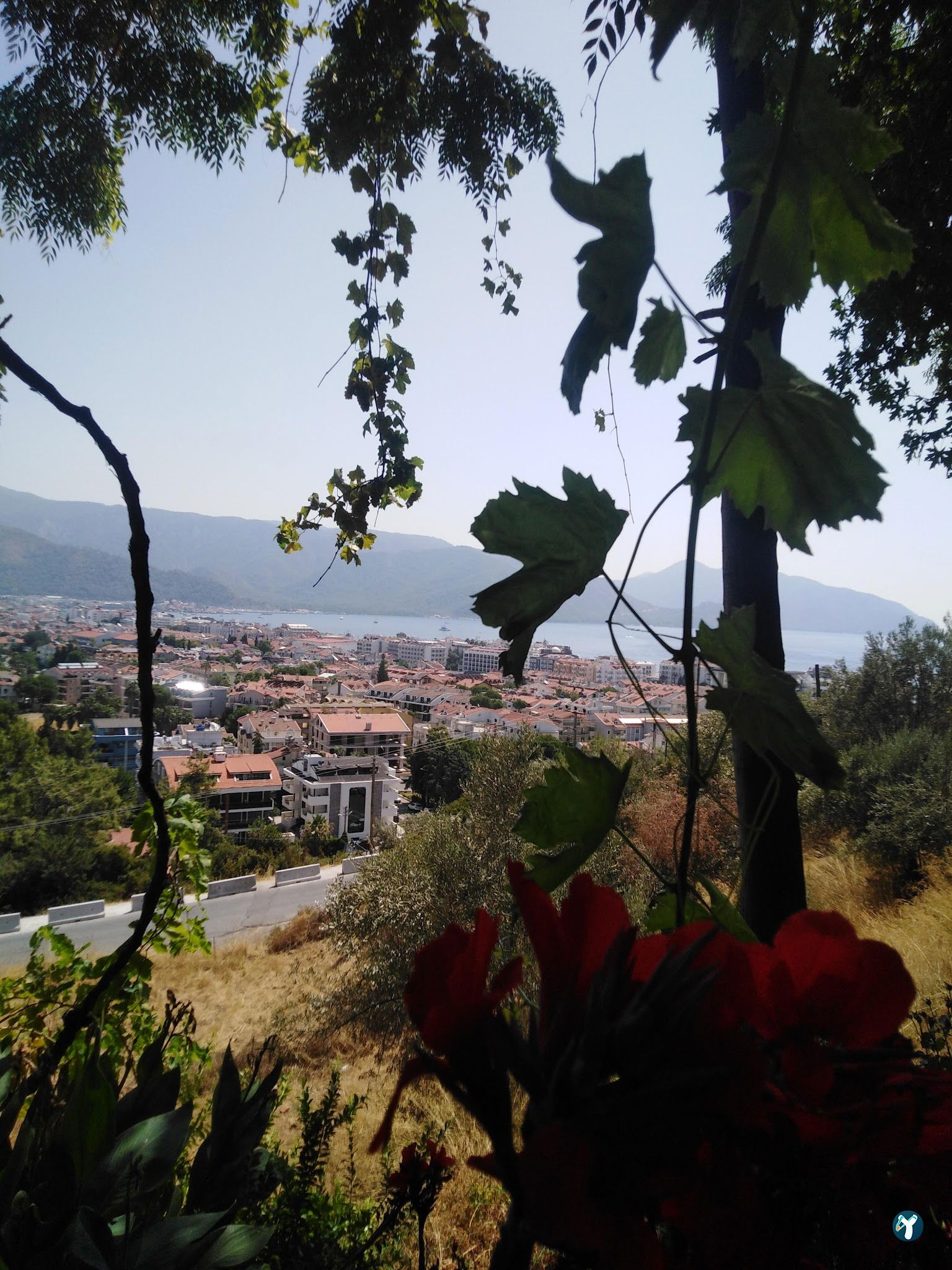 Şahi̇n Tepesi̇ Restaurant